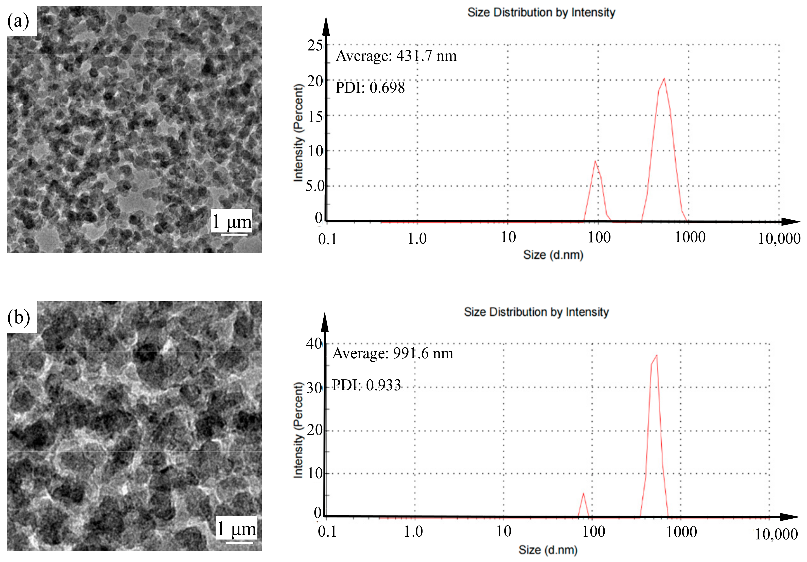 Nanomaterials 14 01866 g002