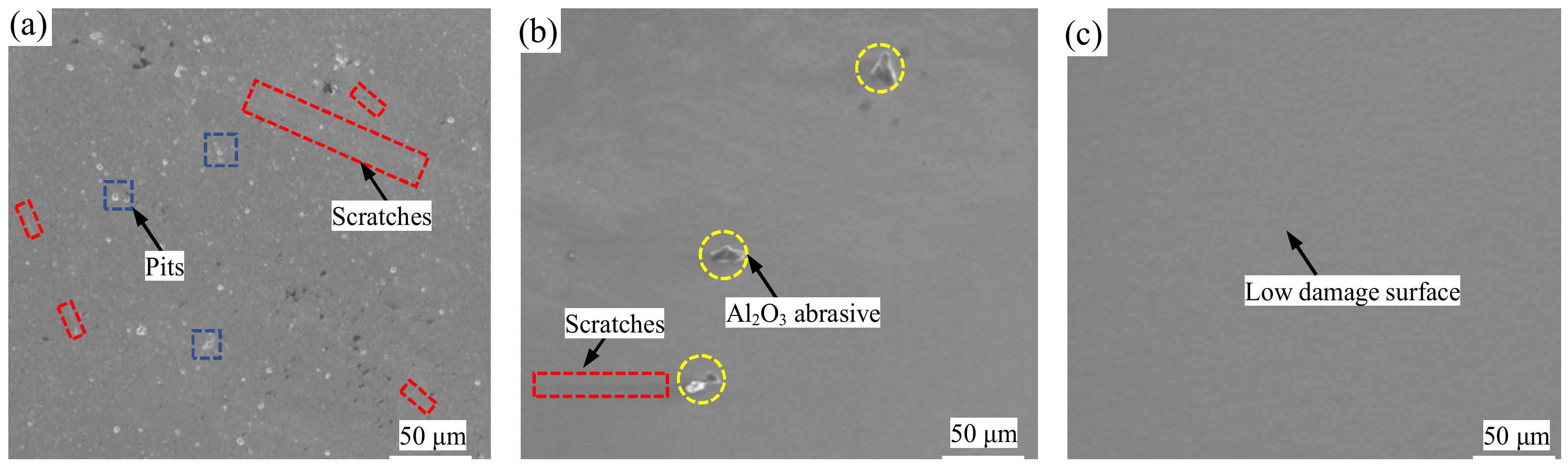 Nanomaterials 14 01866 g004