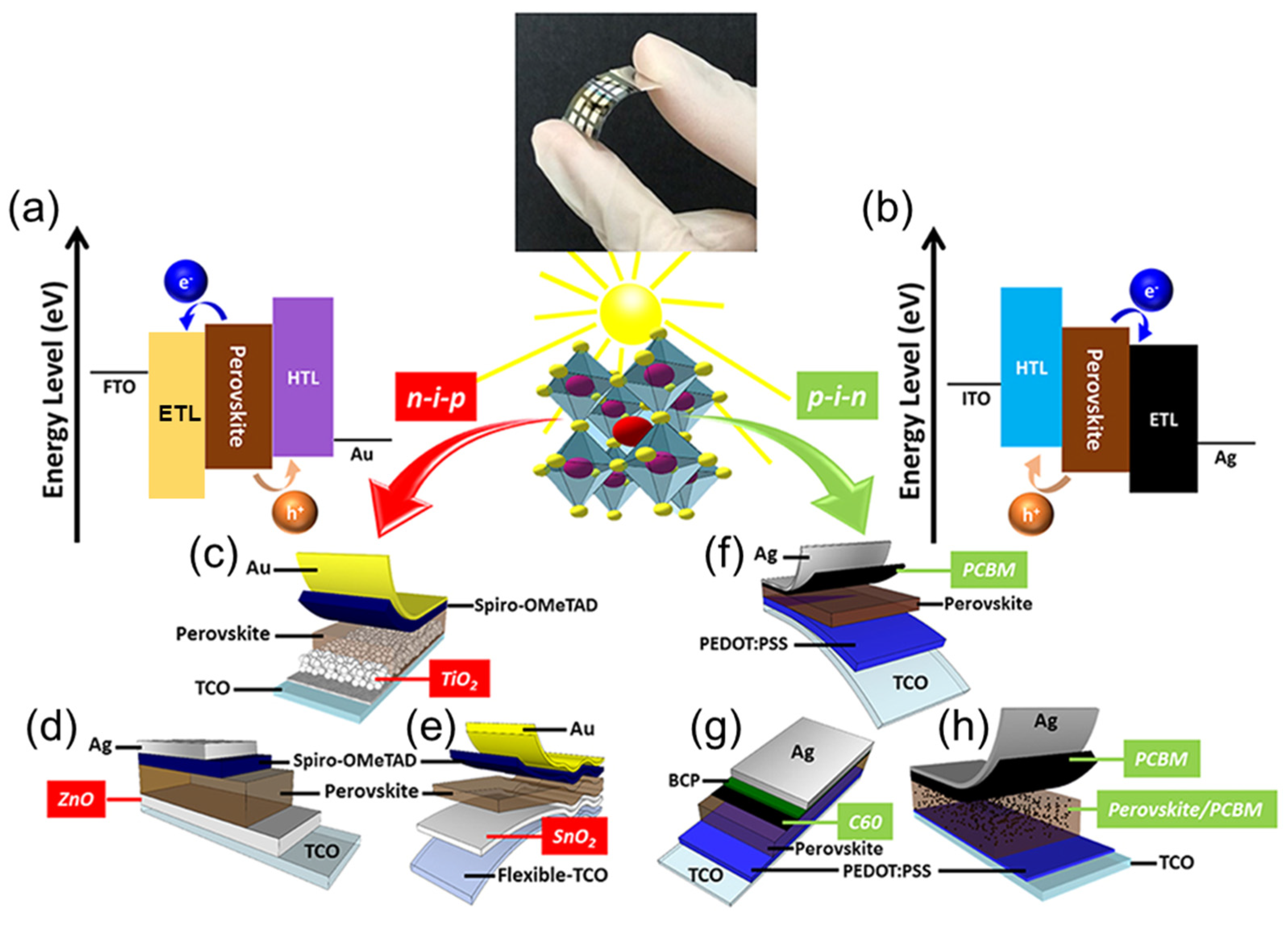 Nanomaterials 14 01867 g002