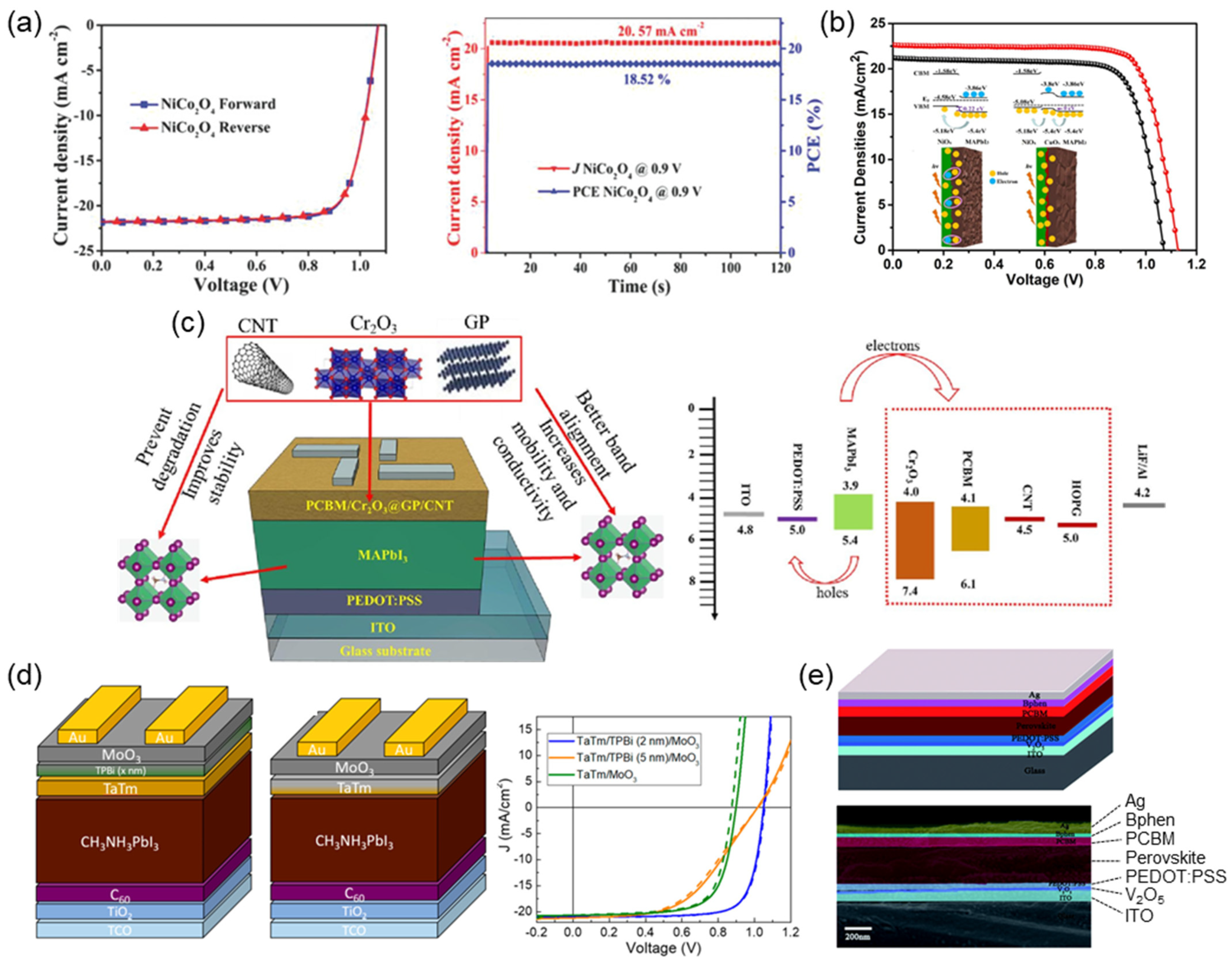 Nanomaterials 14 01867 g009