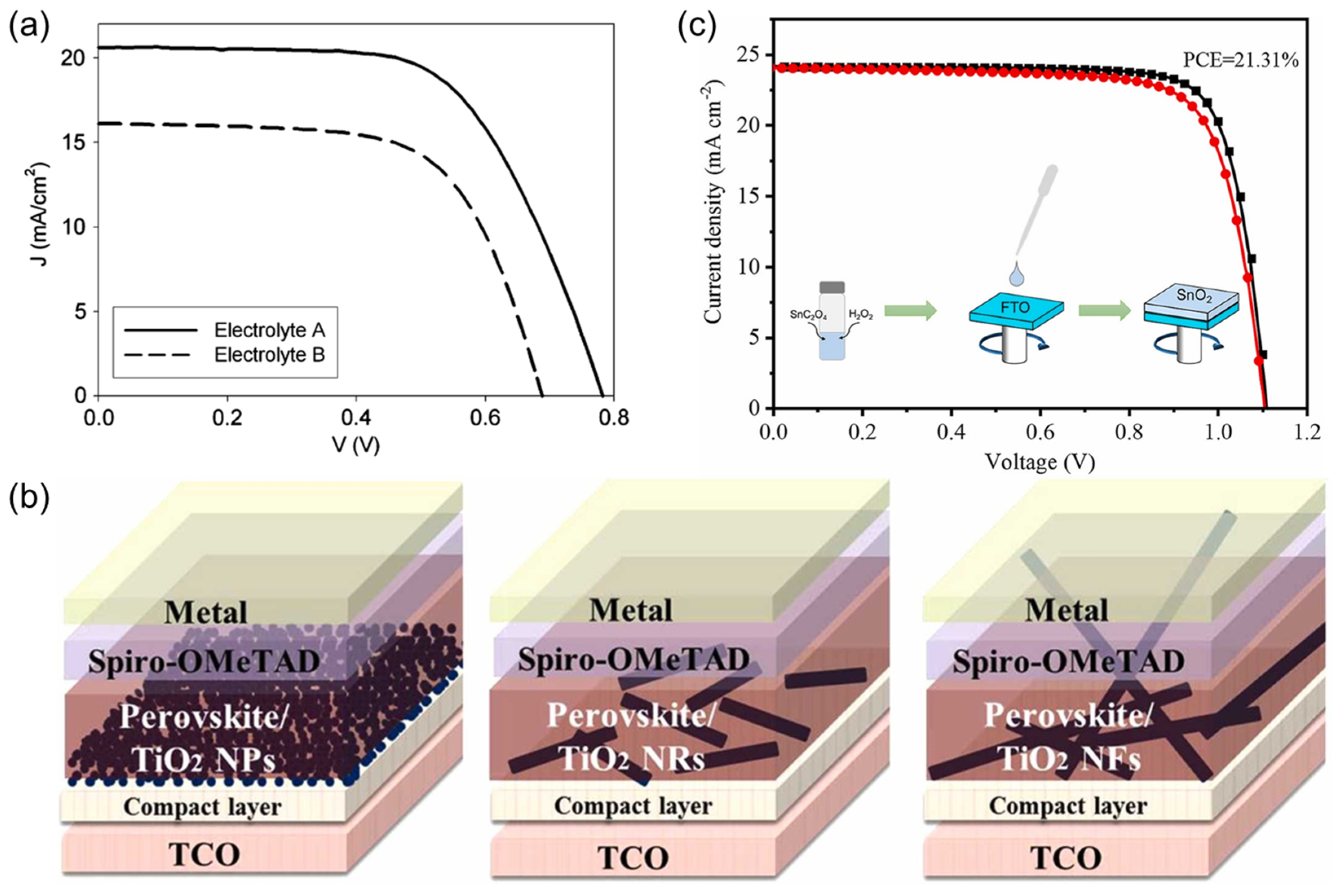 Nanomaterials 14 01867 g011