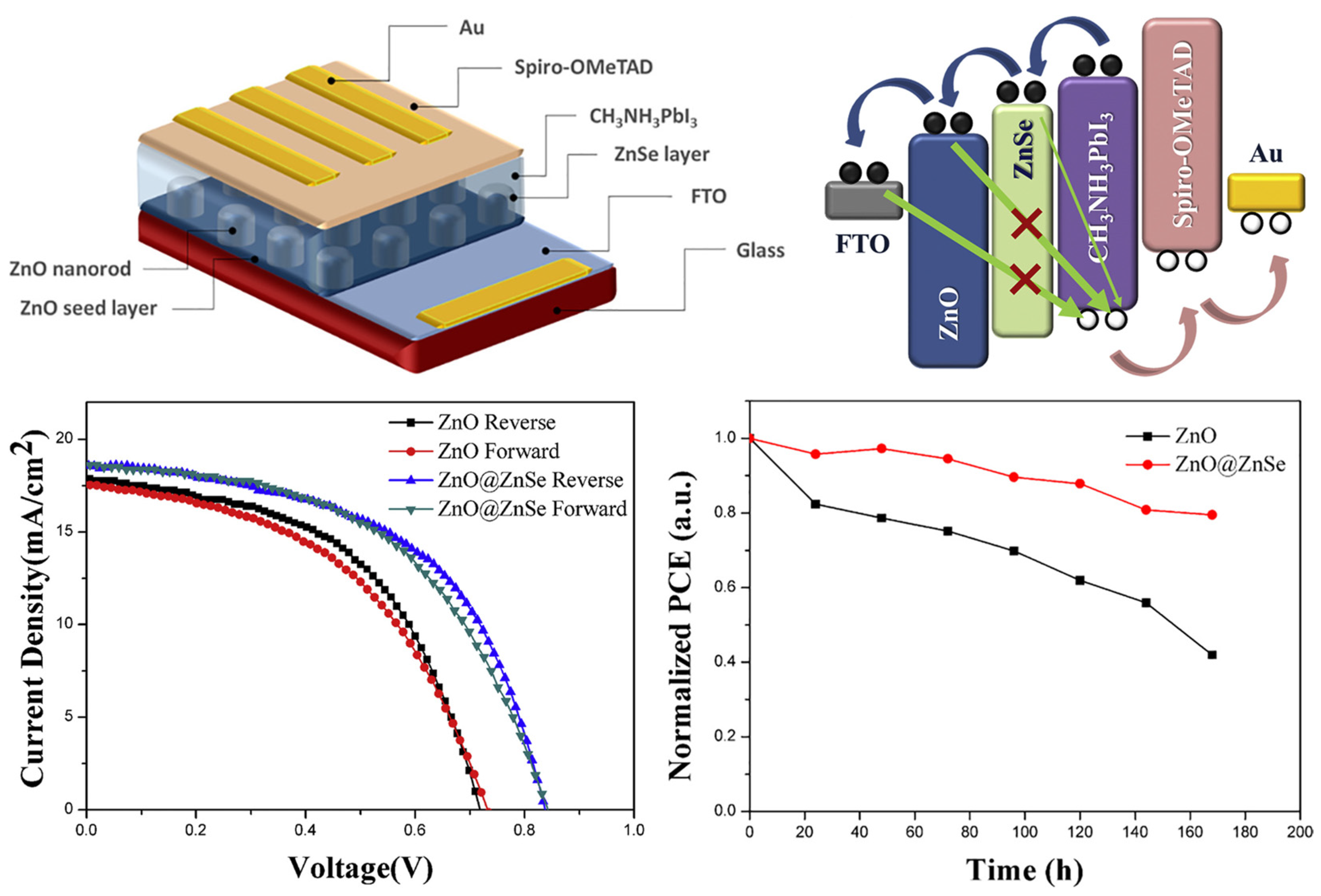 Nanomaterials 14 01867 g012