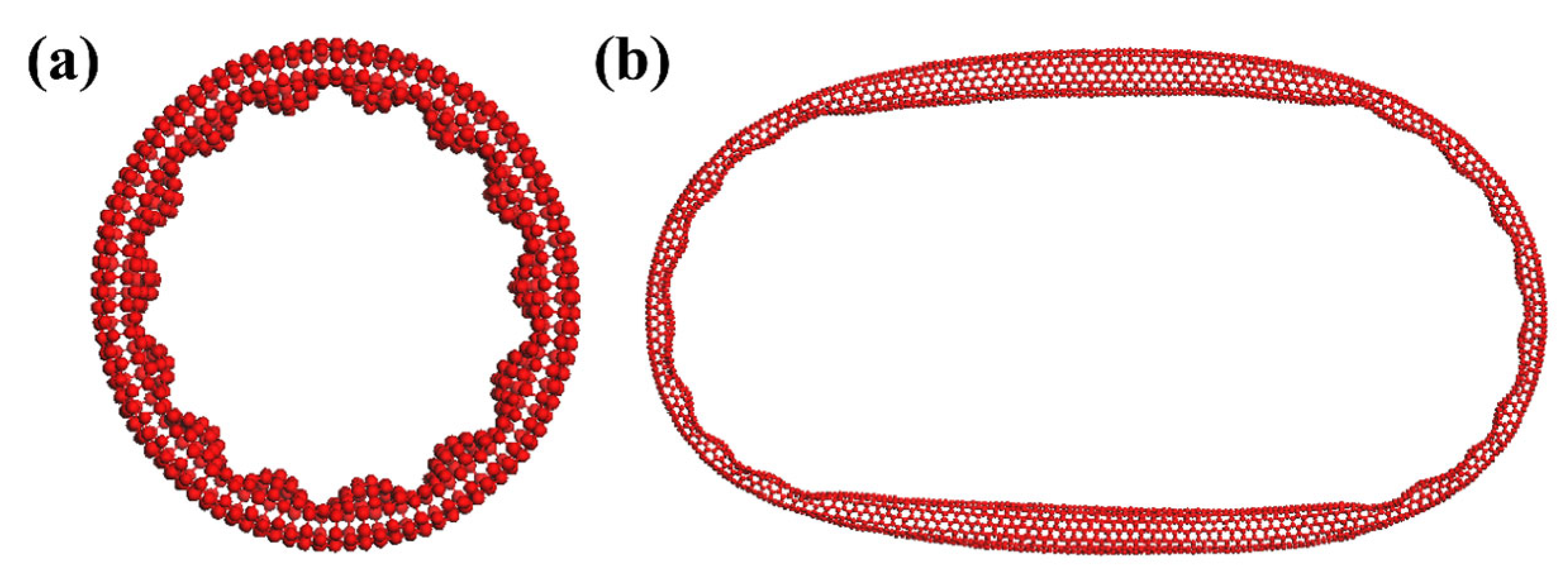 Nanomaterials 14 01868 g002