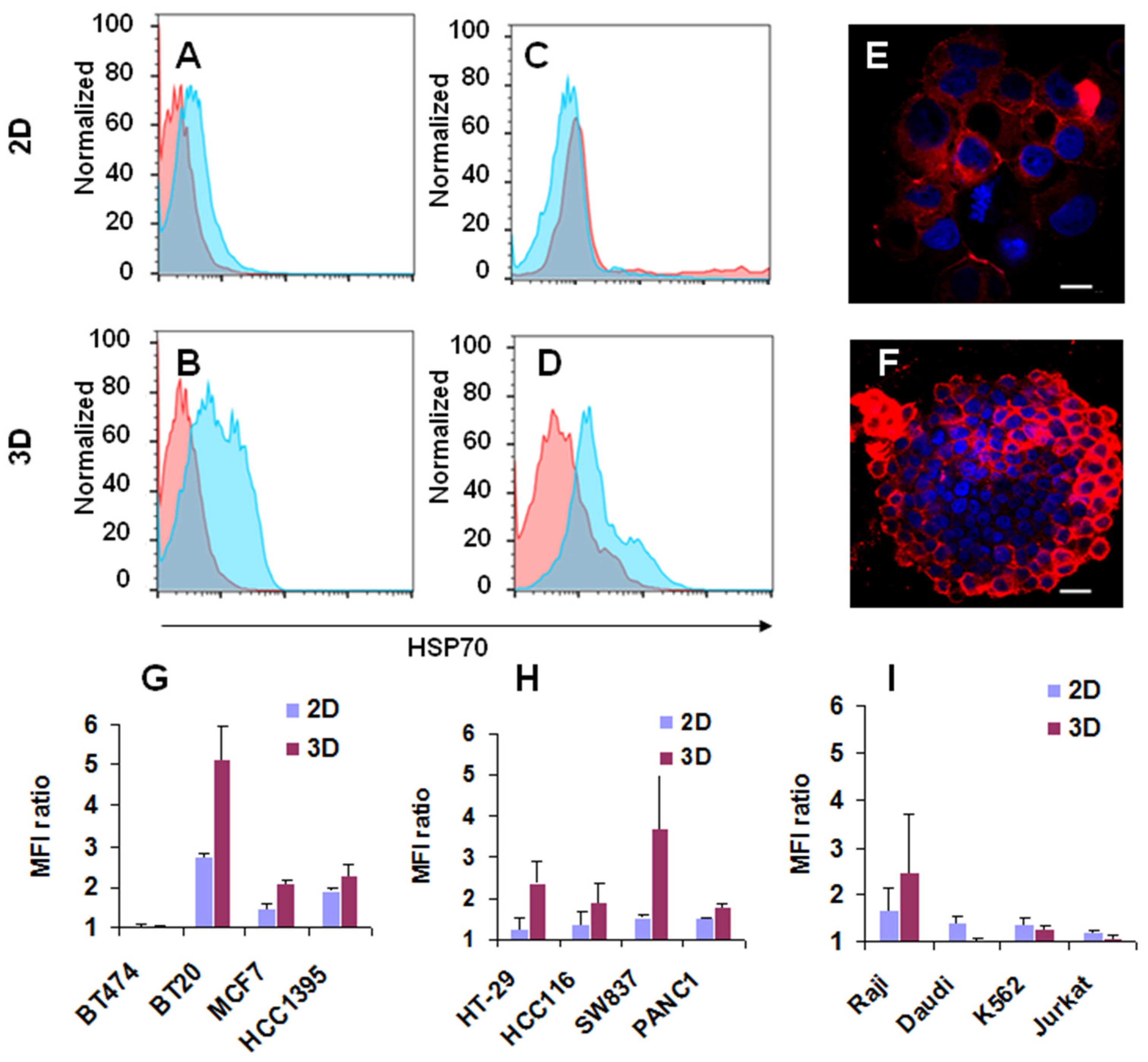 Nanomaterials 14 01873 g001