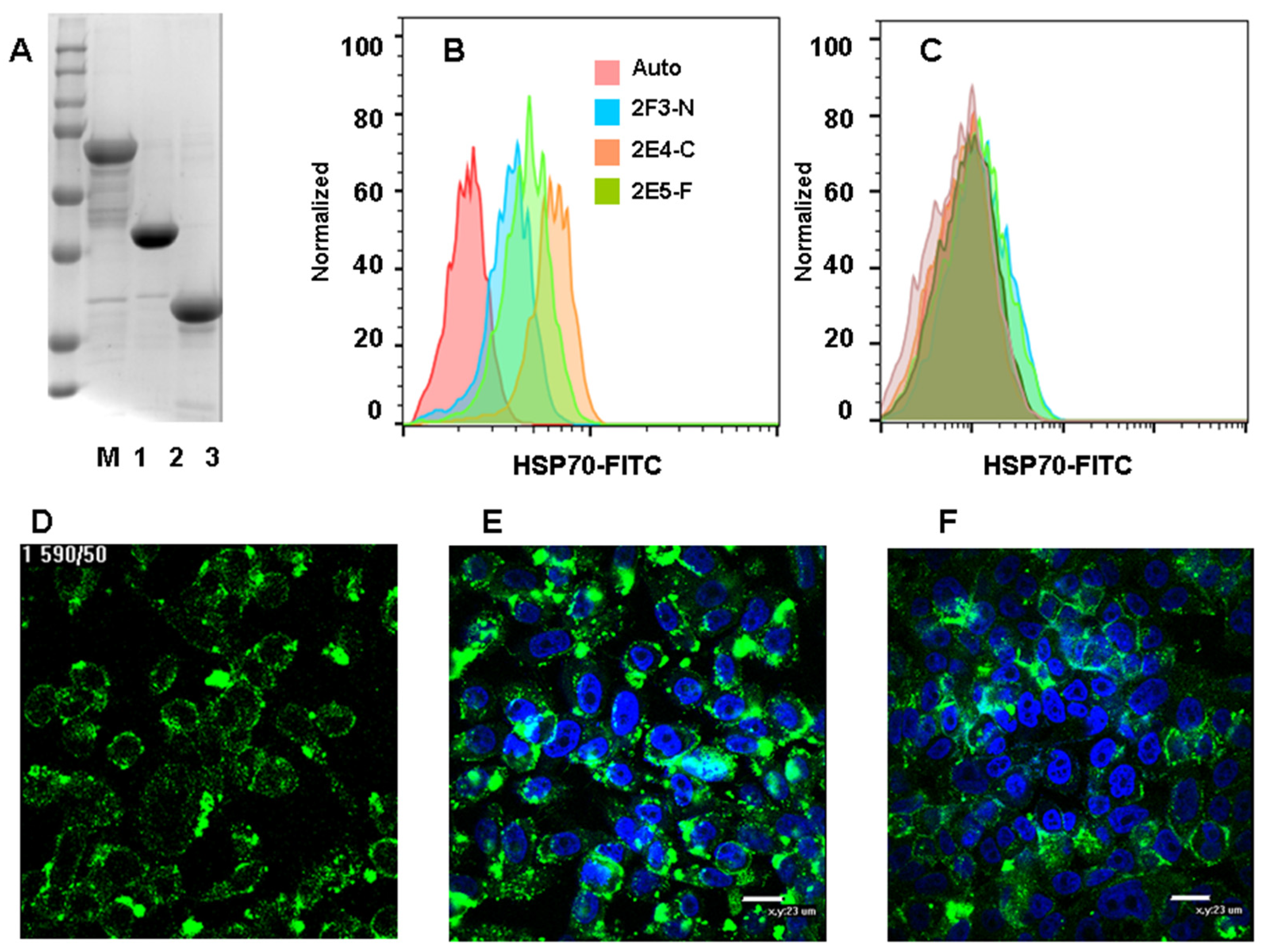 Nanomaterials 14 01873 g002