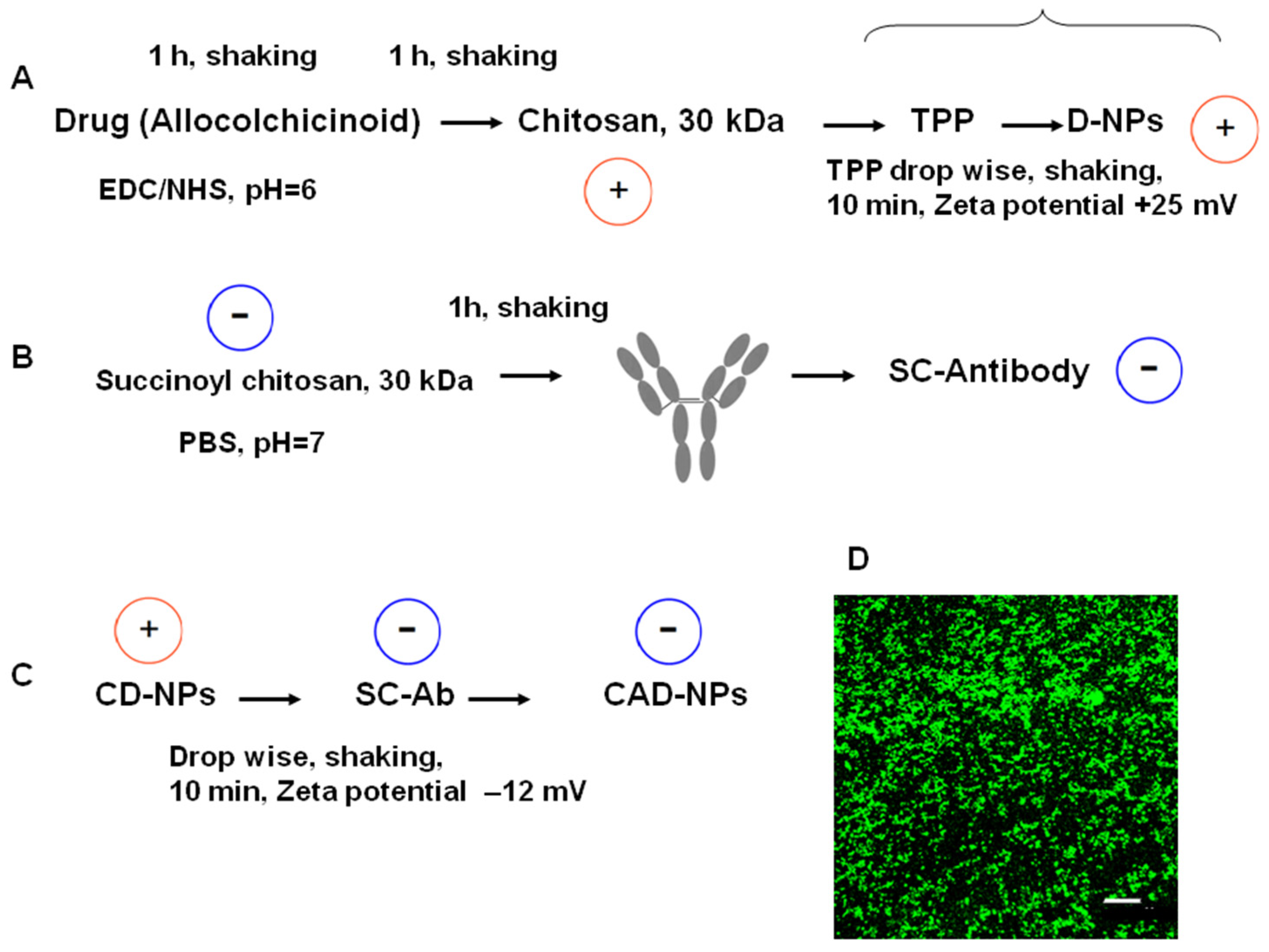 Nanomaterials 14 01873 g003