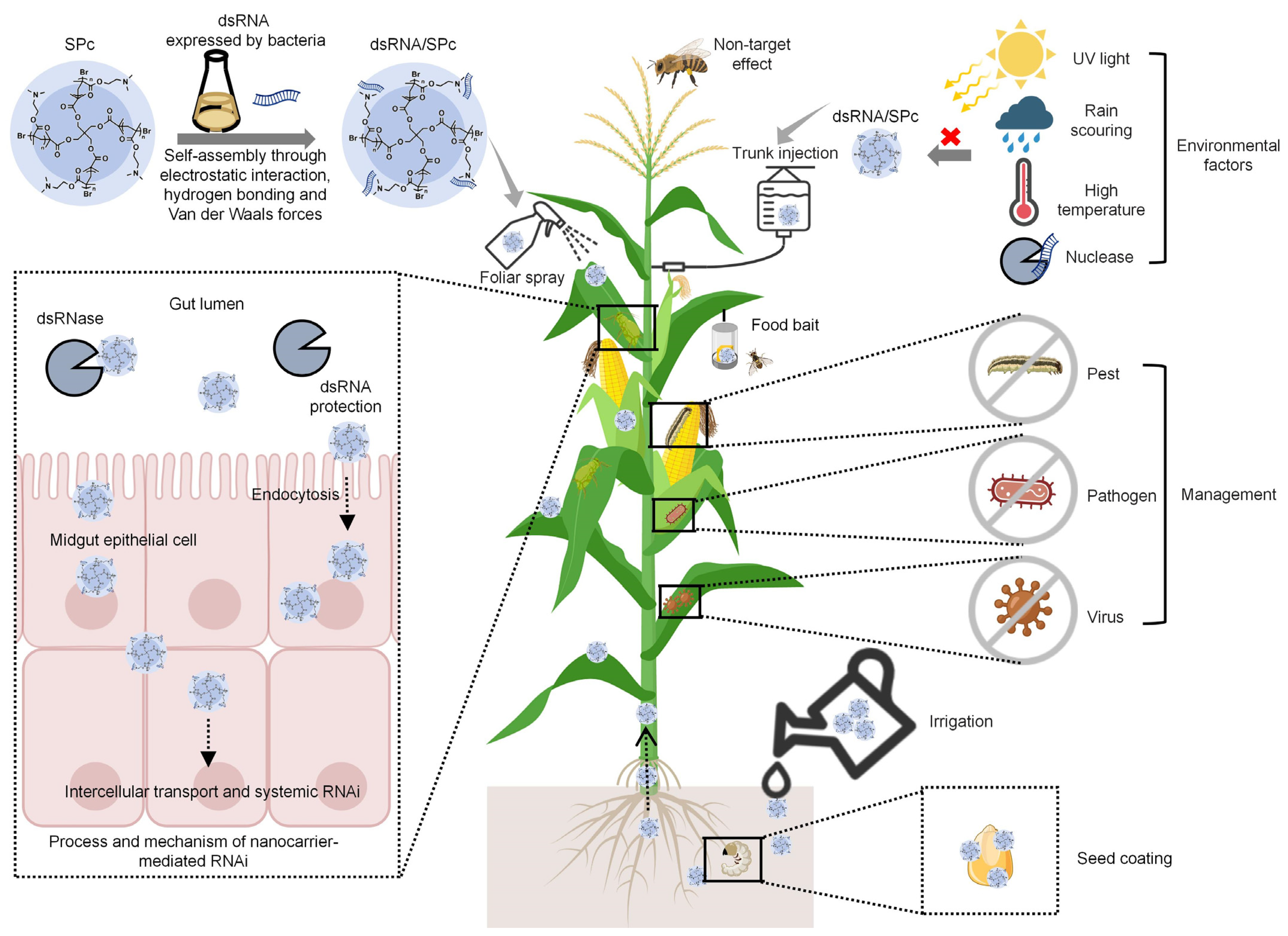 Nanomaterials 14 01874 g001 Nanomaterials 14 01874 g001