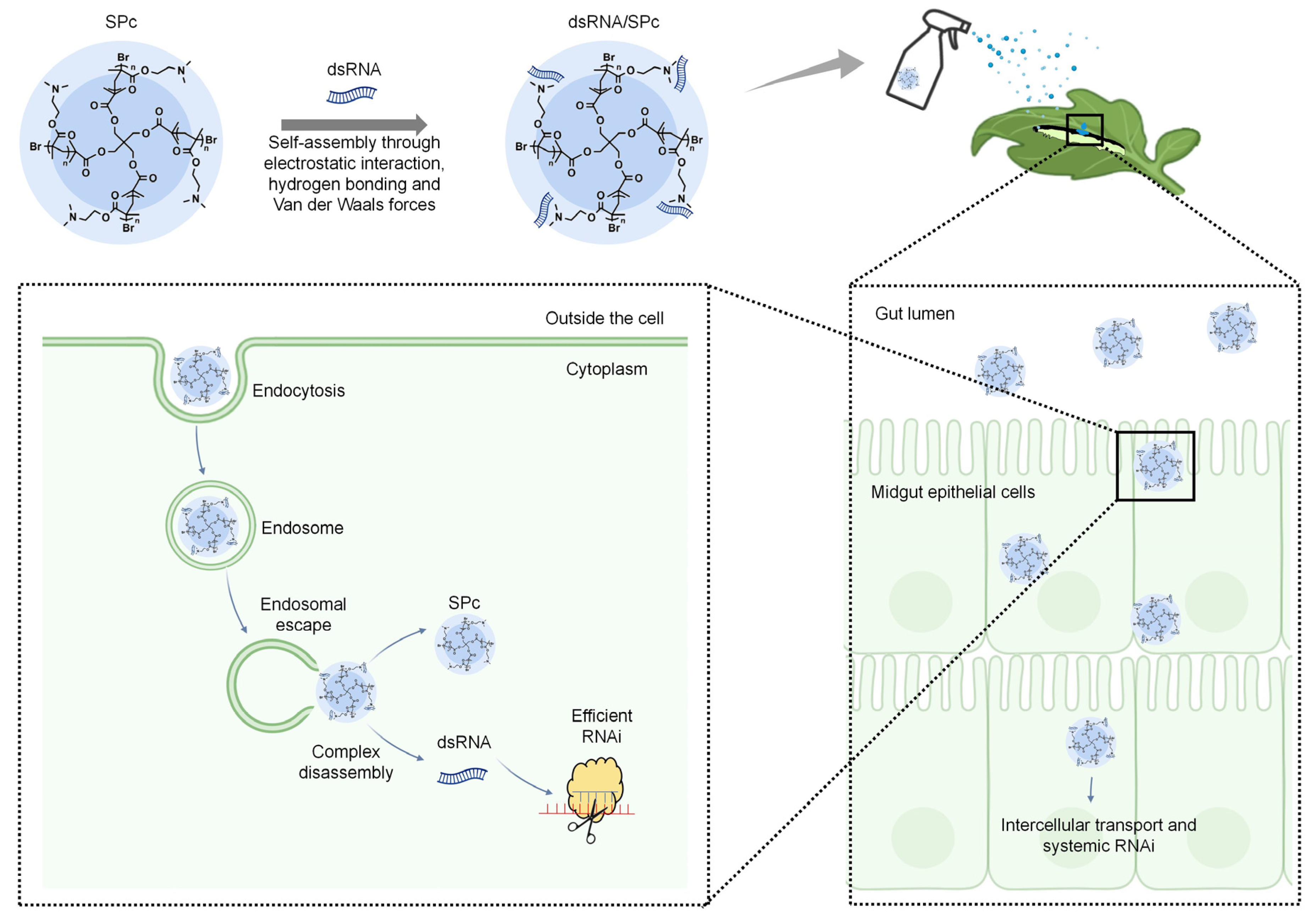 Nanomaterials 14 01874 g002 Nanomaterials 14 01874 g002