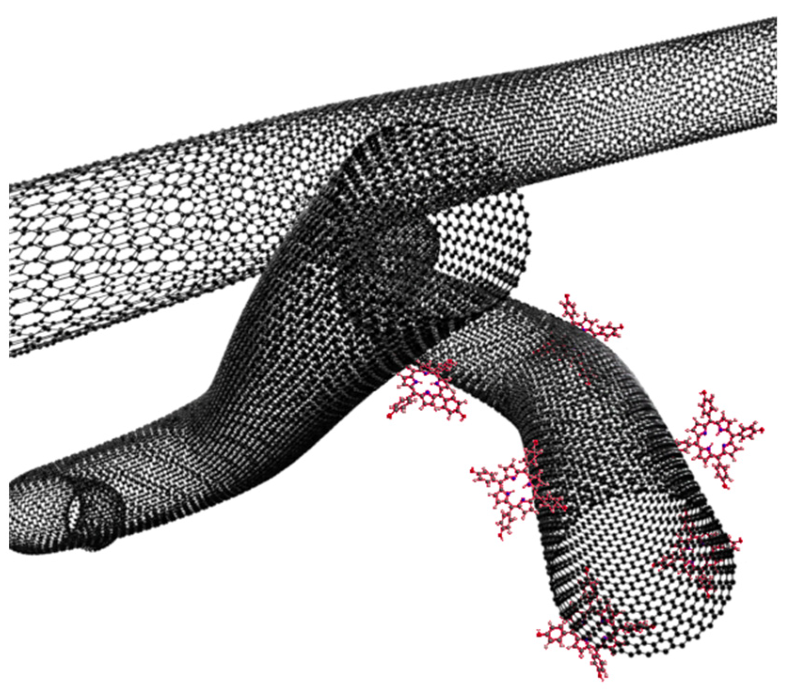 Nanomaterials 14 01879 g013 Nanomaterials 14 01879 g013