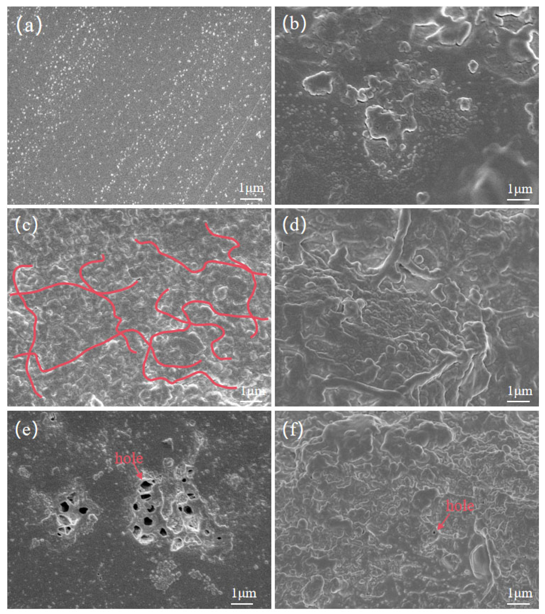 Nanomaterials 14 01880 g005