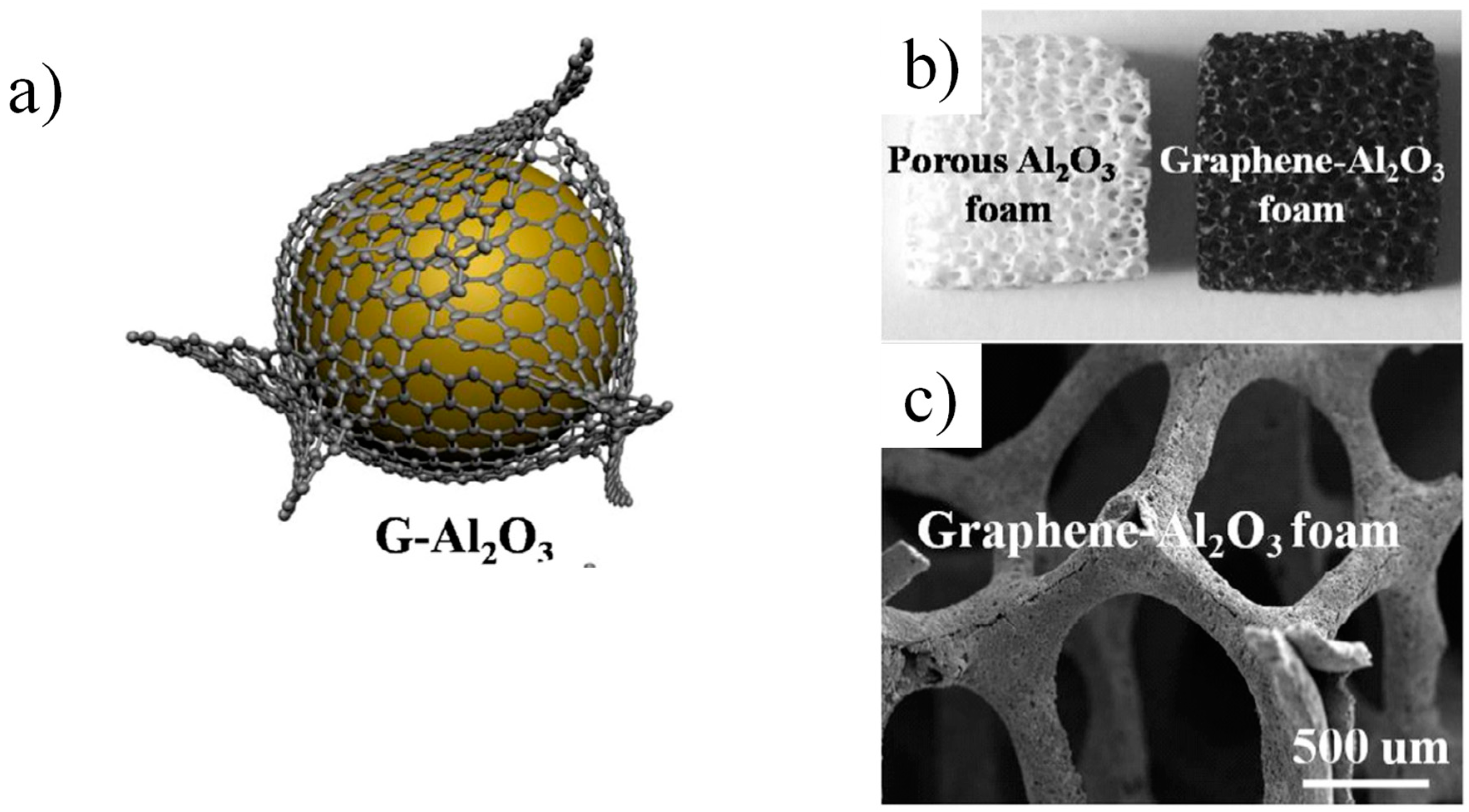 Nanomaterials 14 01881 g006