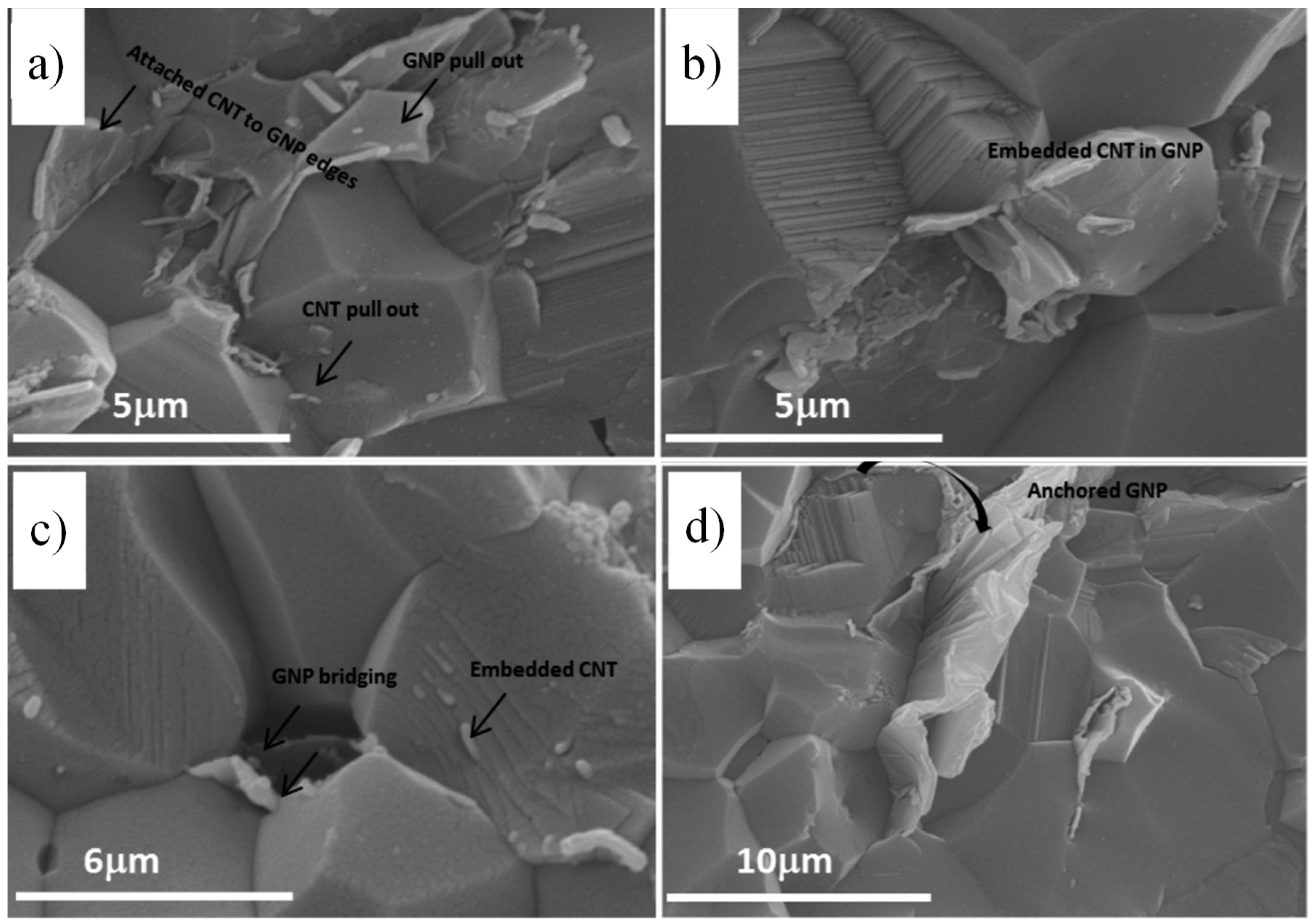 Nanomaterials 14 01881 g009