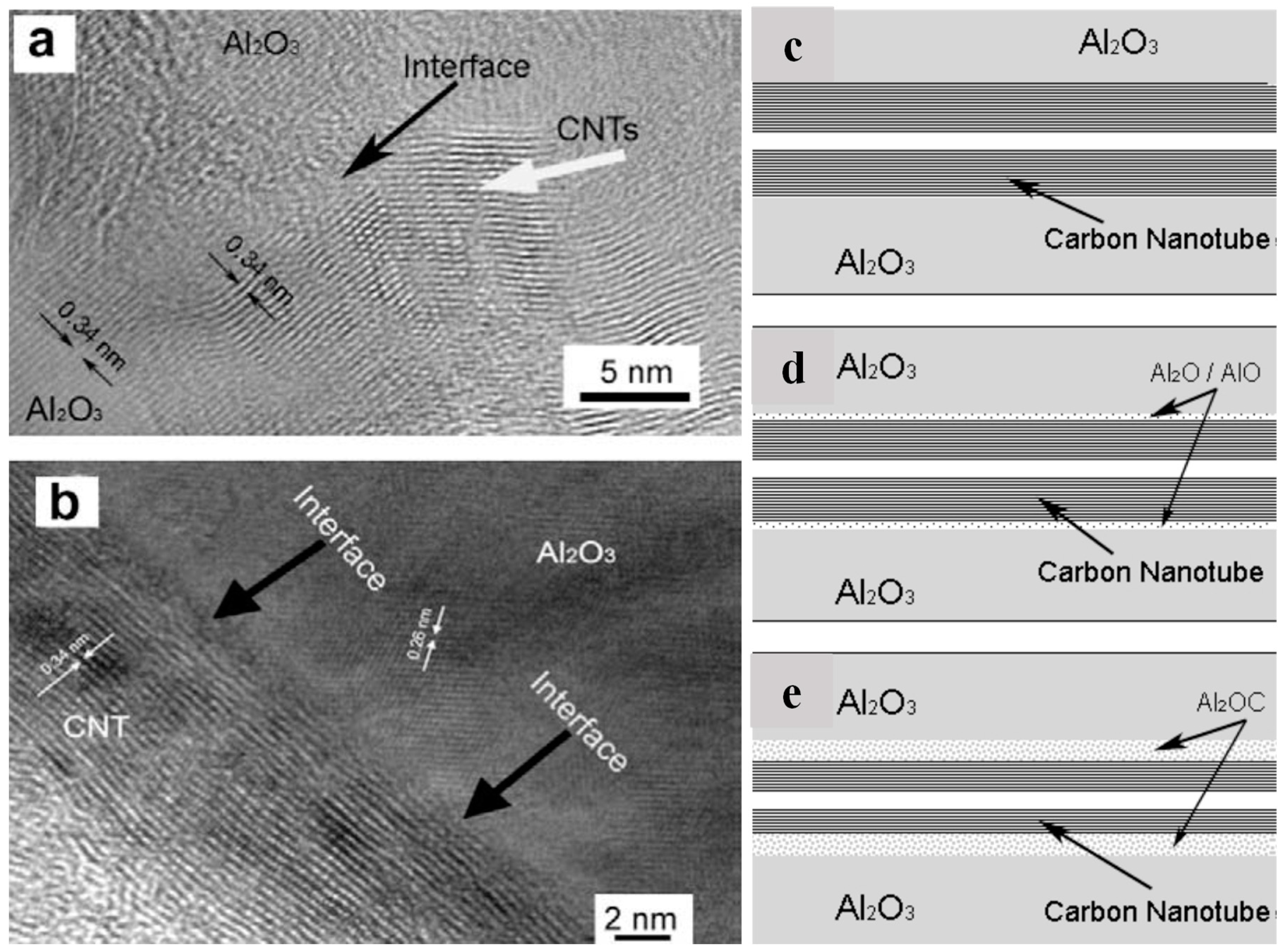 Nanomaterials 14 01881 g010