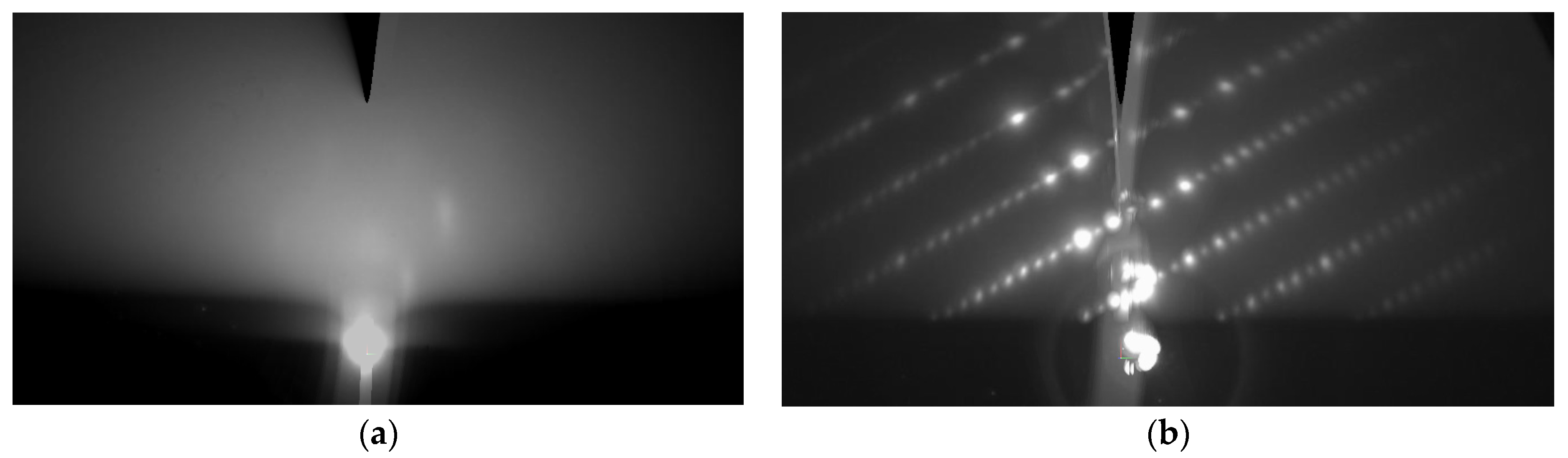 Nanomaterials 14 01883 g002