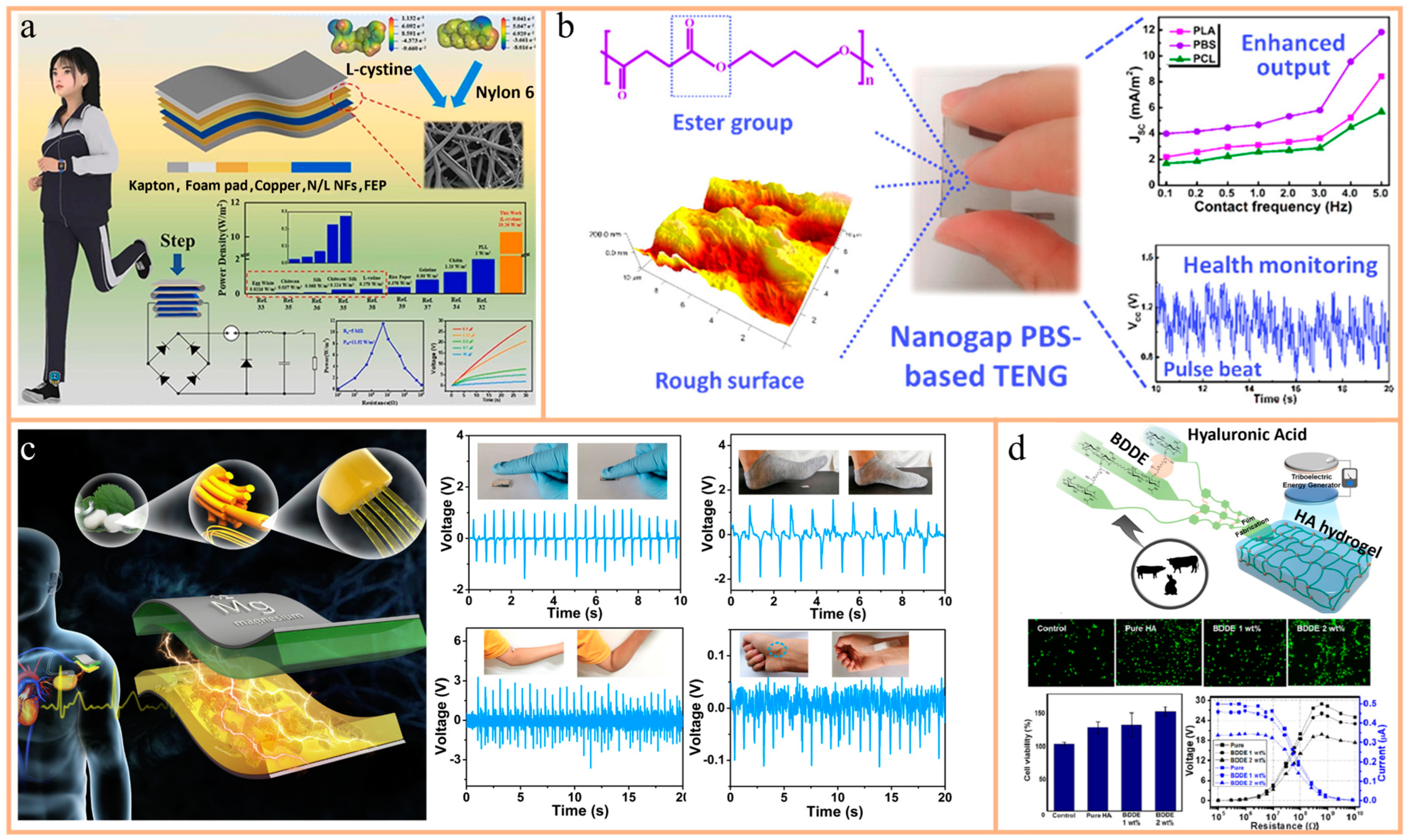 Nanomaterials 14 01885 g003