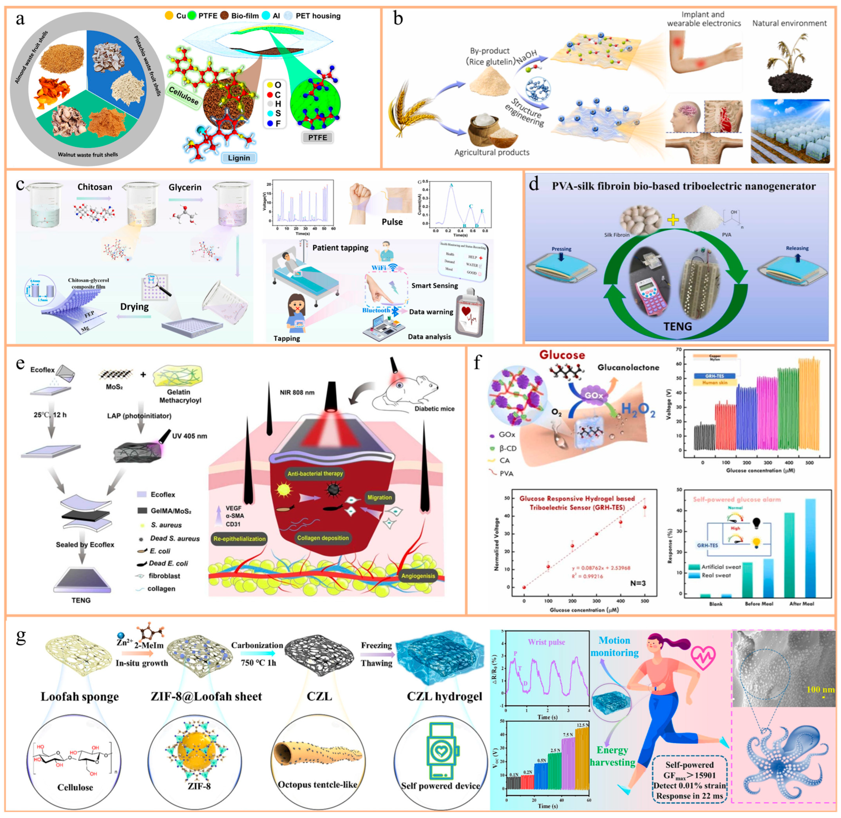 Nanomaterials 14 01885 g004