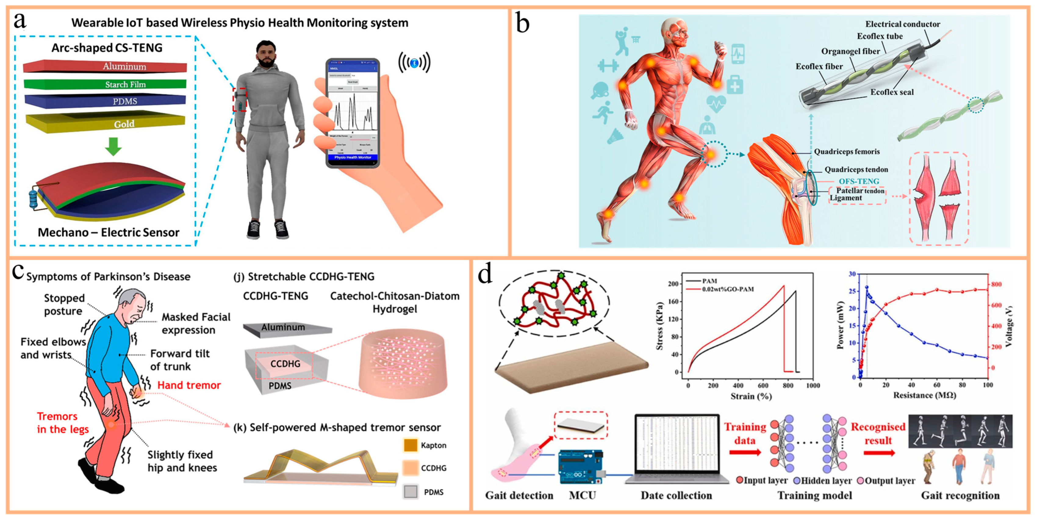 Nanomaterials 14 01885 g006