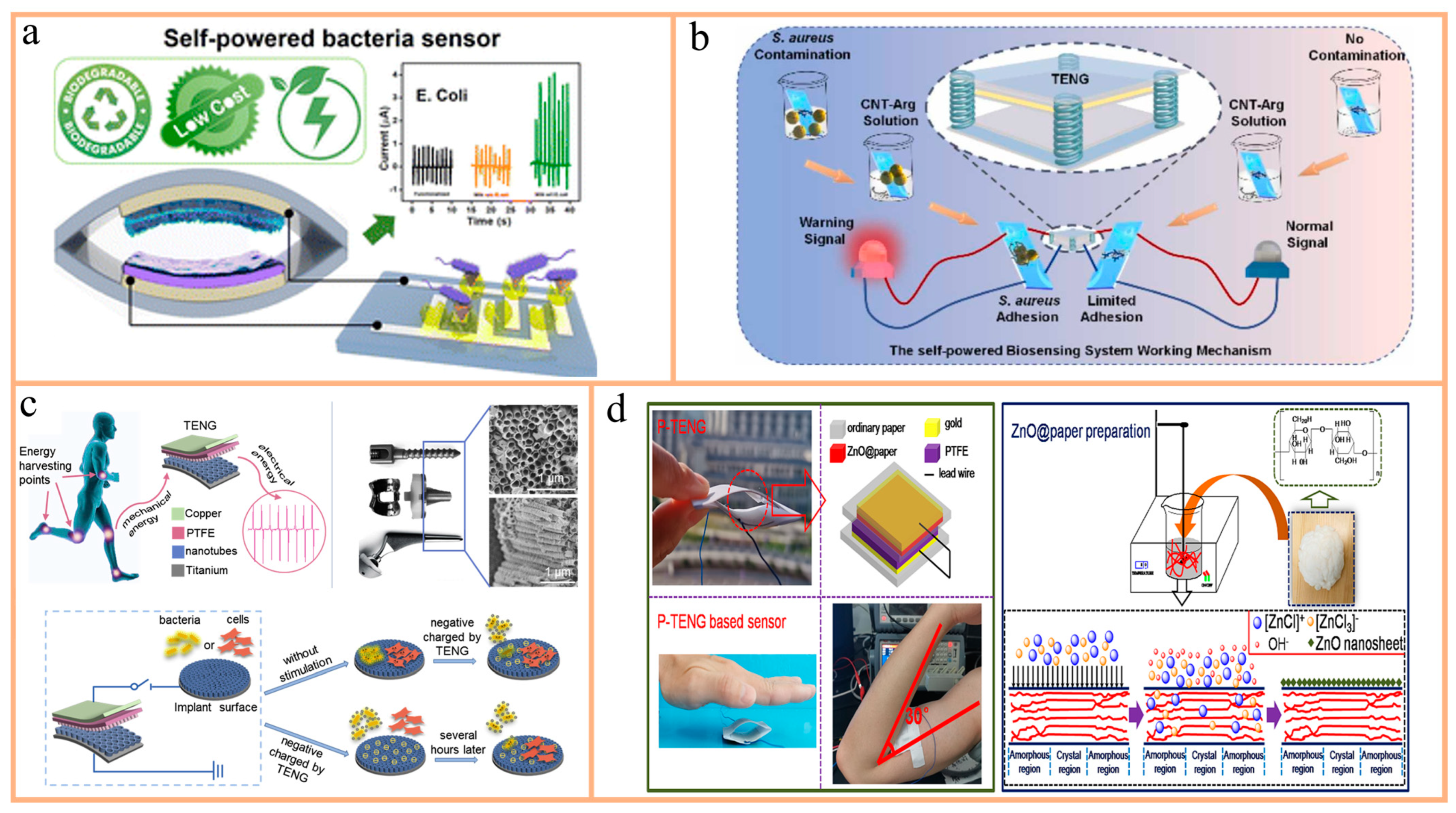 Nanomaterials 14 01885 g007