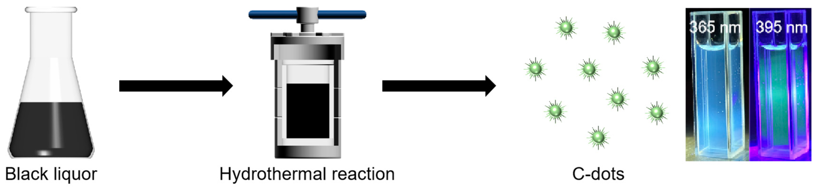 Nanomaterials 14 01887 g001