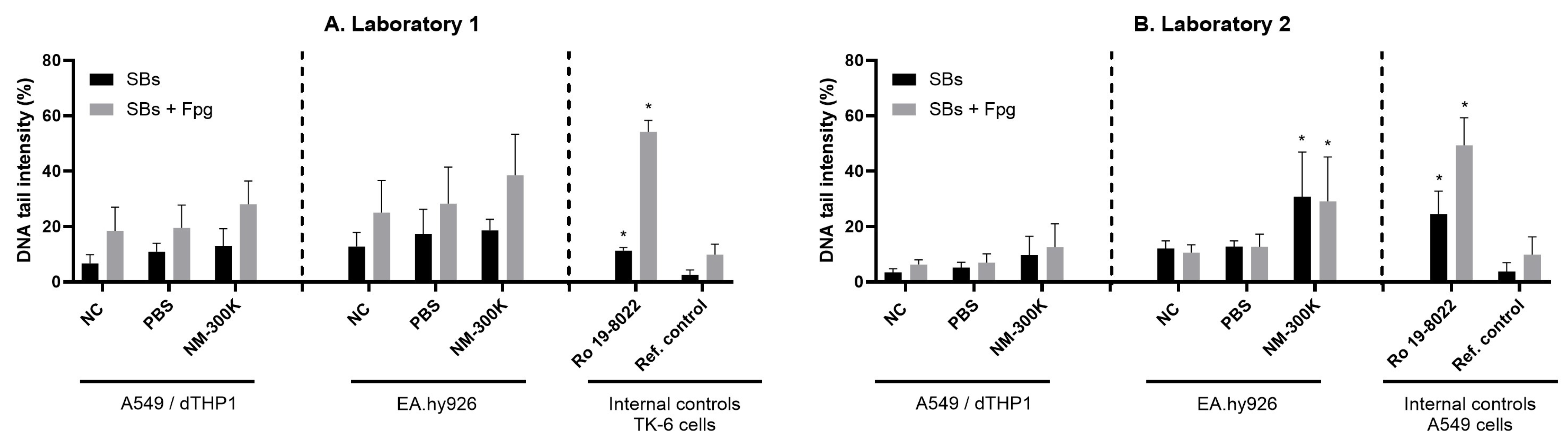 Nanomaterials 14 01888 g002