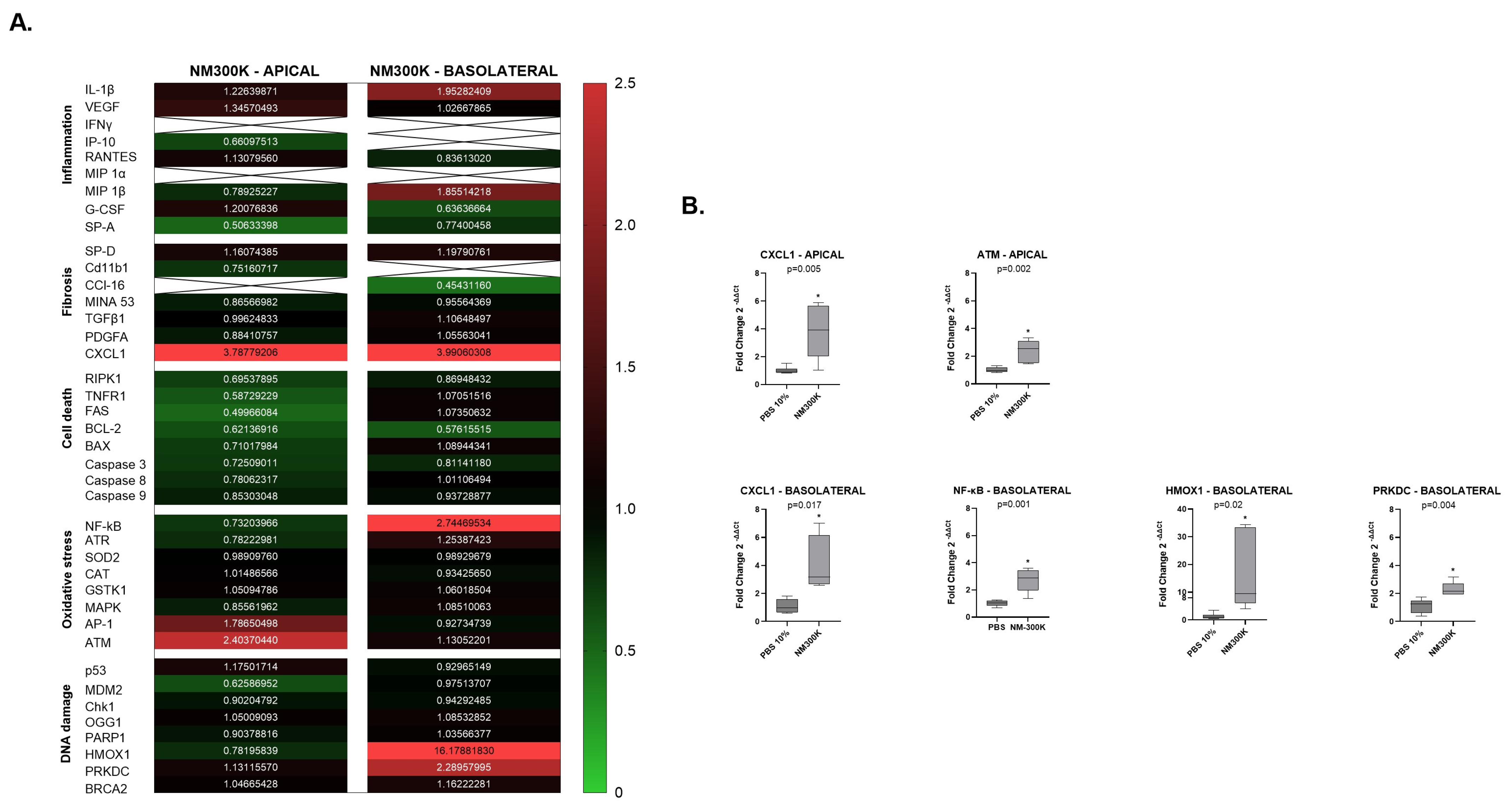 Nanomaterials 14 01888 g003