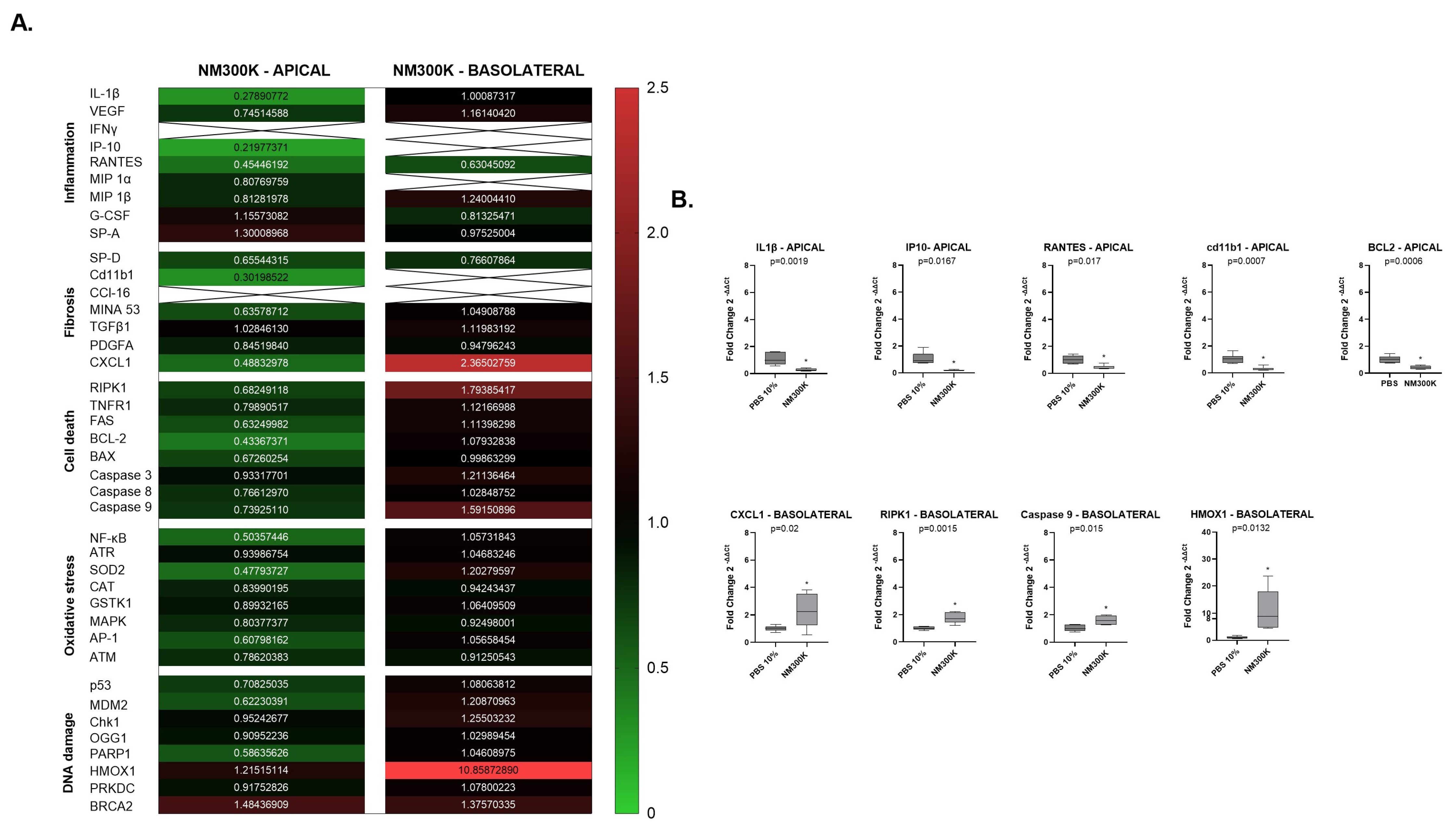 Nanomaterials 14 01888 g004