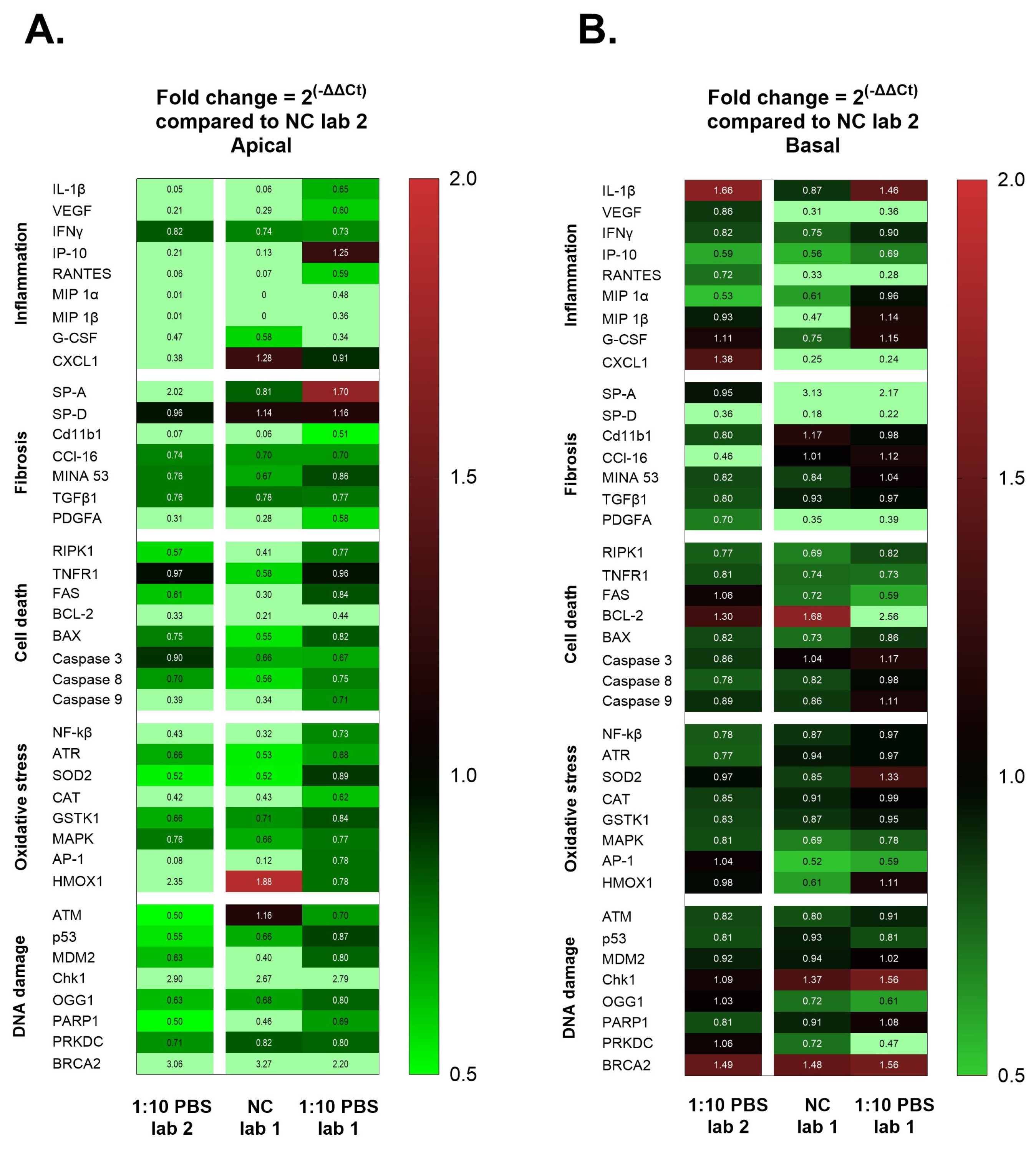 Nanomaterials 14 01888 g005