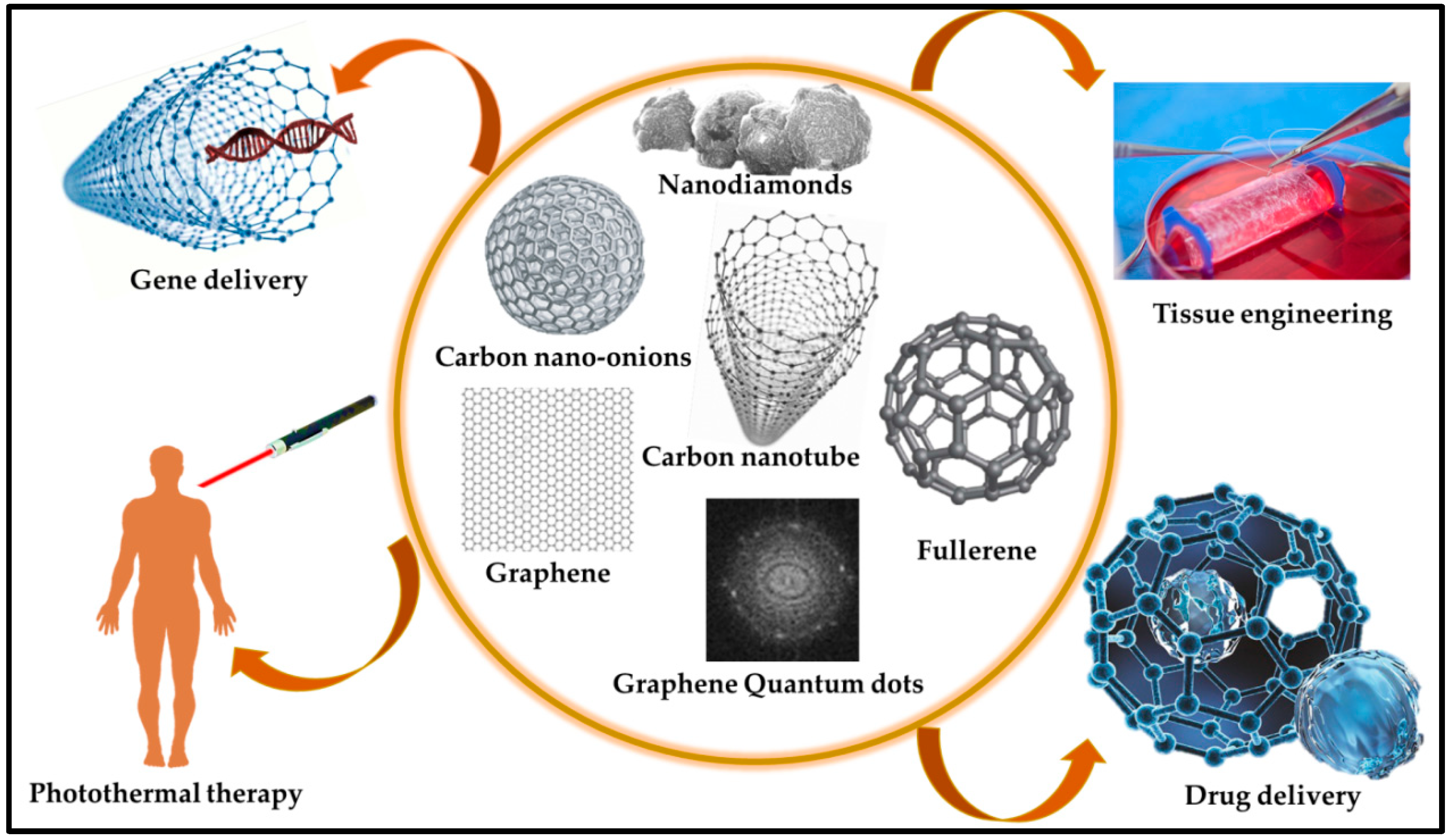 Nanomaterials 14 01890 g002