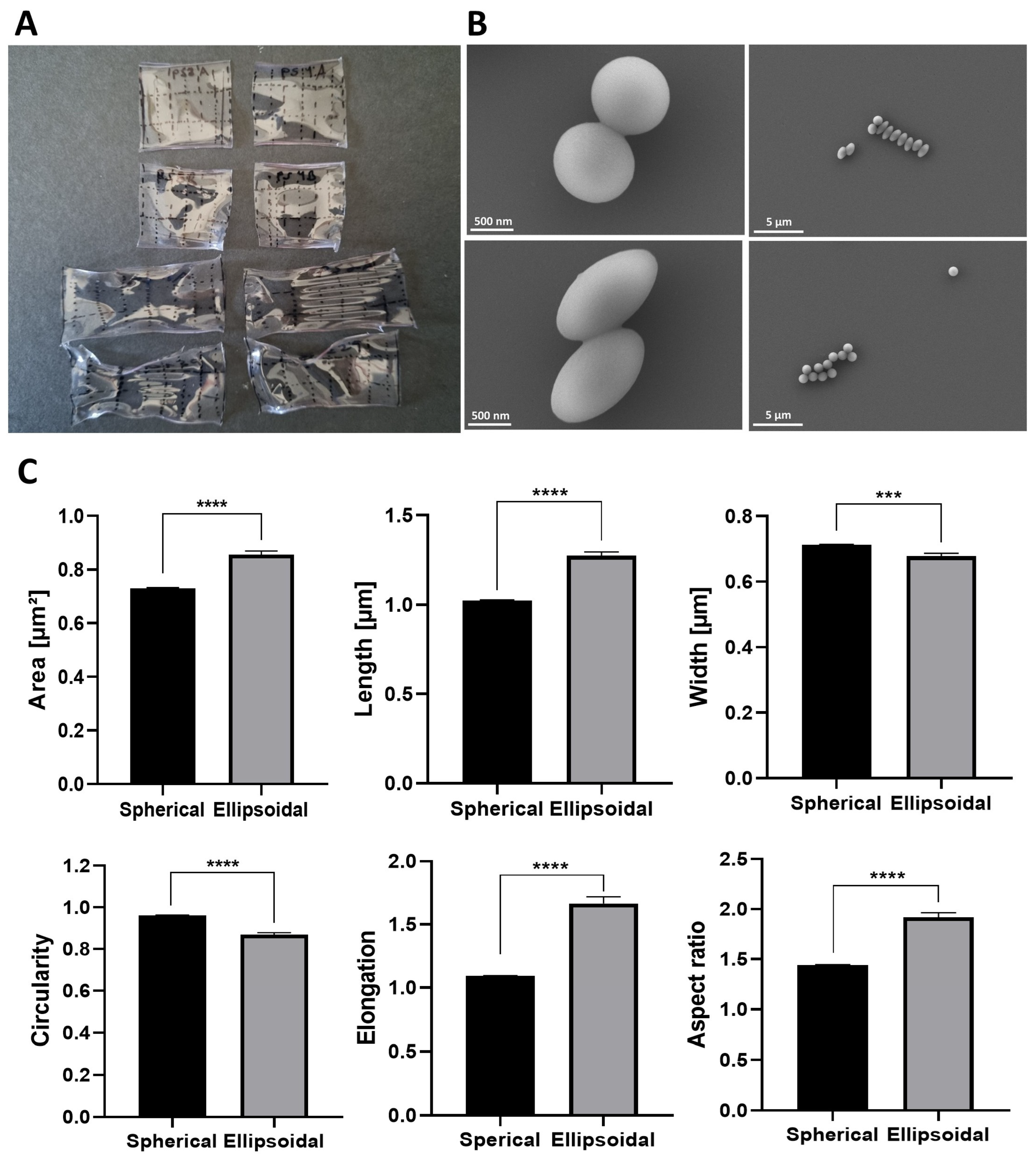 Nanomaterials 14 01891 g002