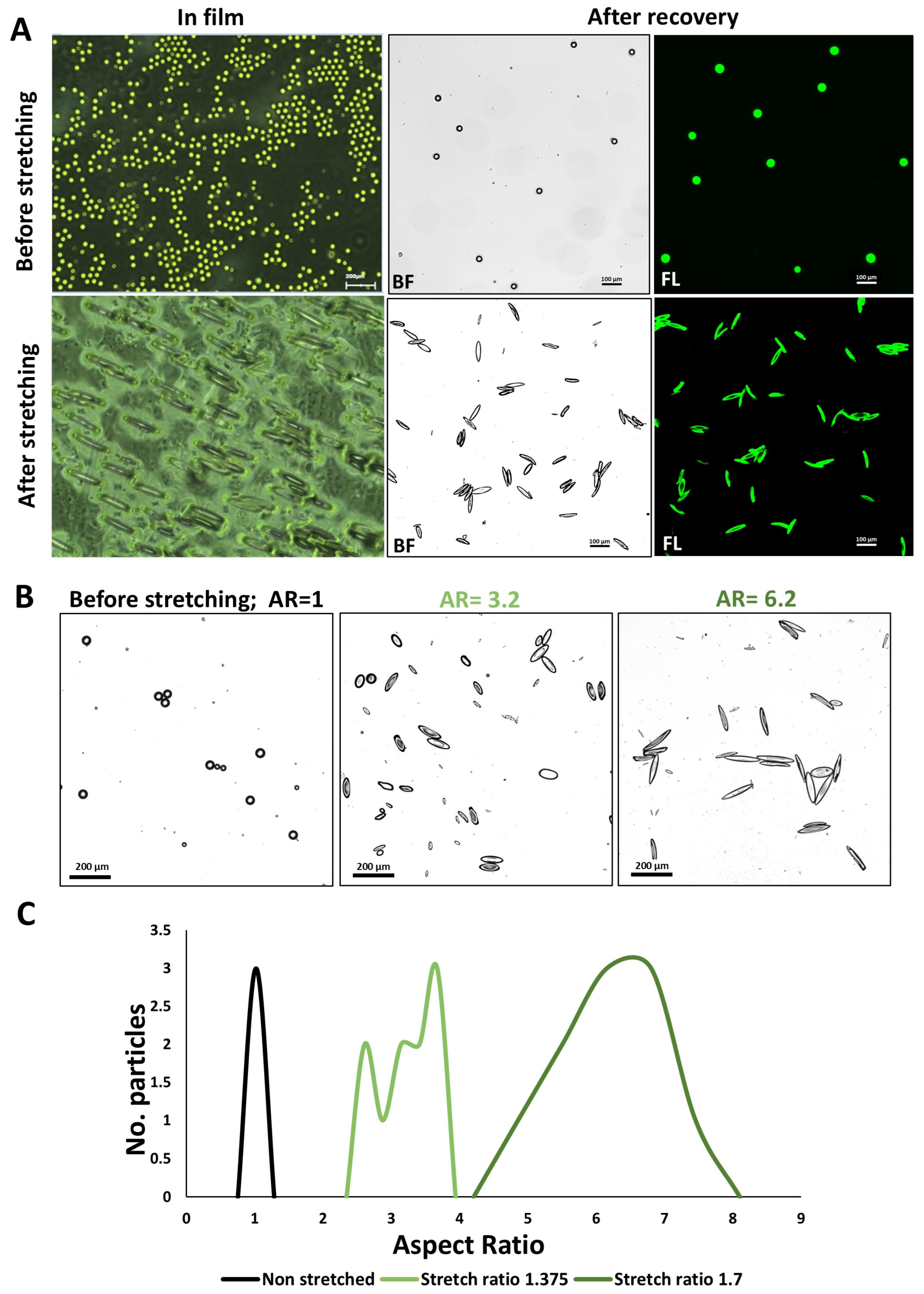 Nanomaterials 14 01891 g004
