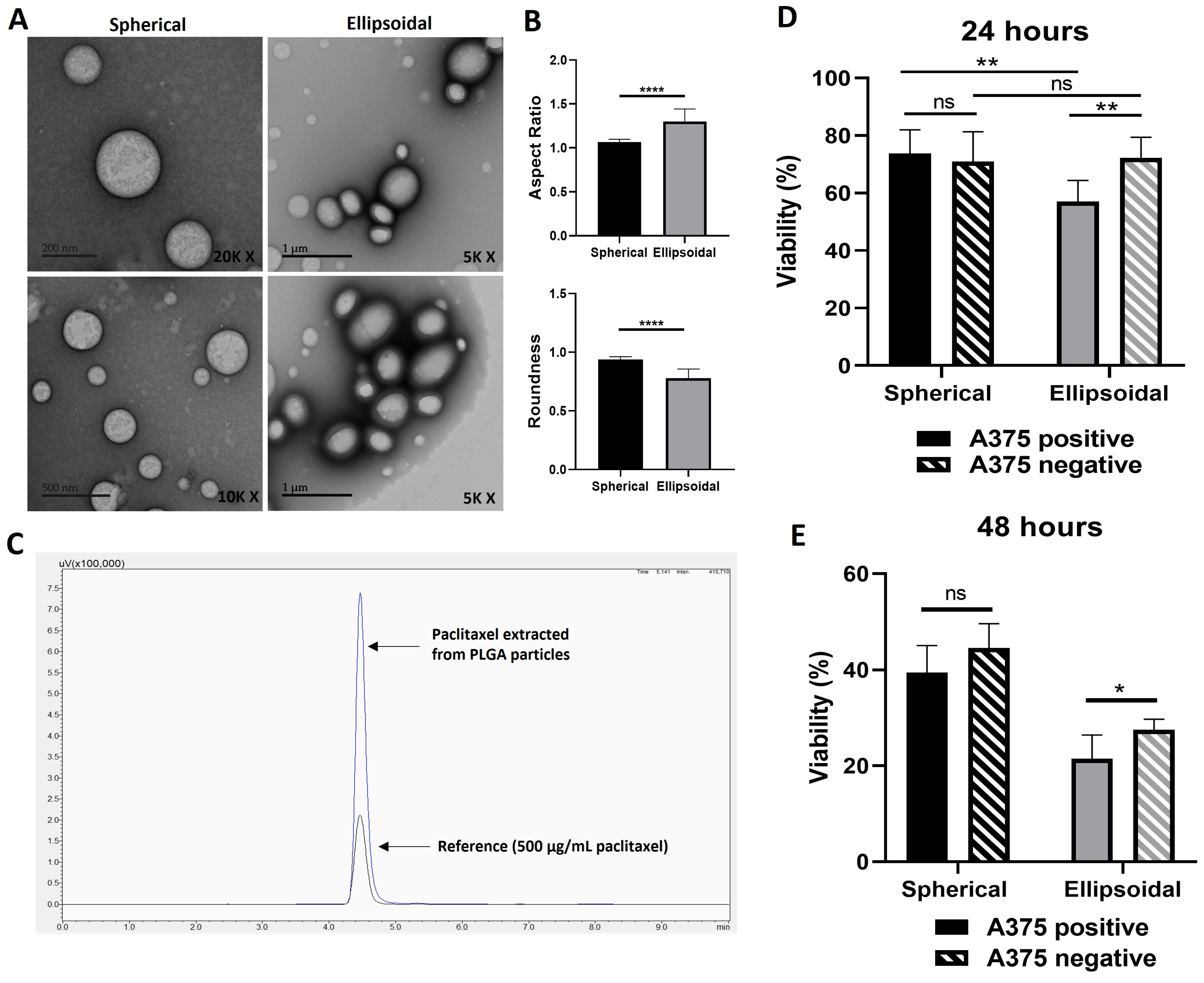 Nanomaterials 14 01891 g005