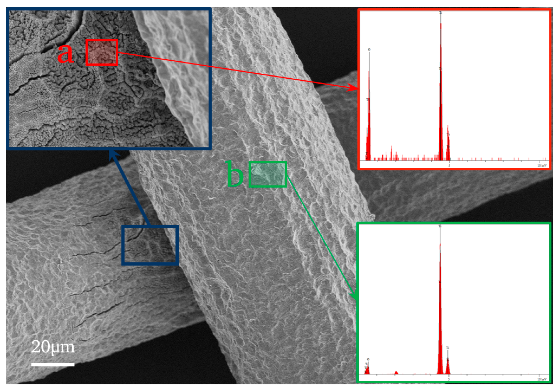 Nanomaterials 14 01893 g007