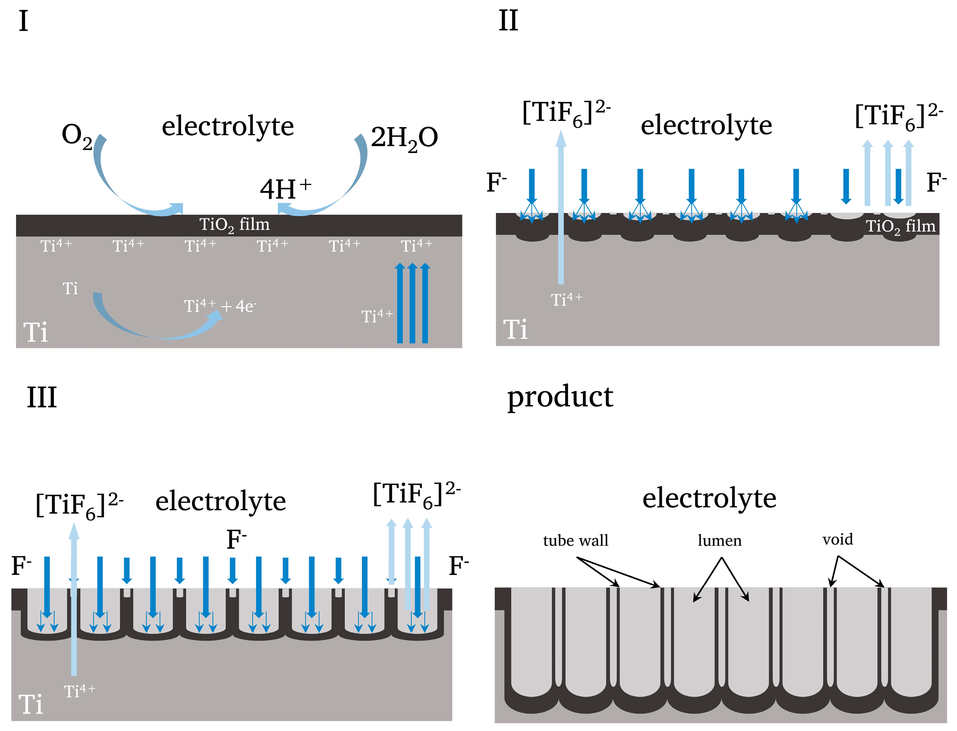 Nanomaterials 14 01893 g009