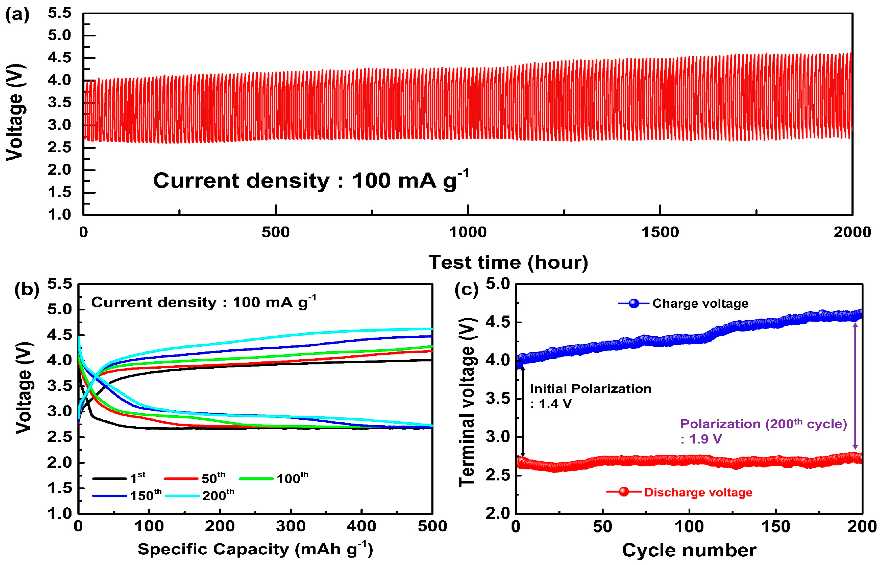 Nanomaterials 14 01894 g003