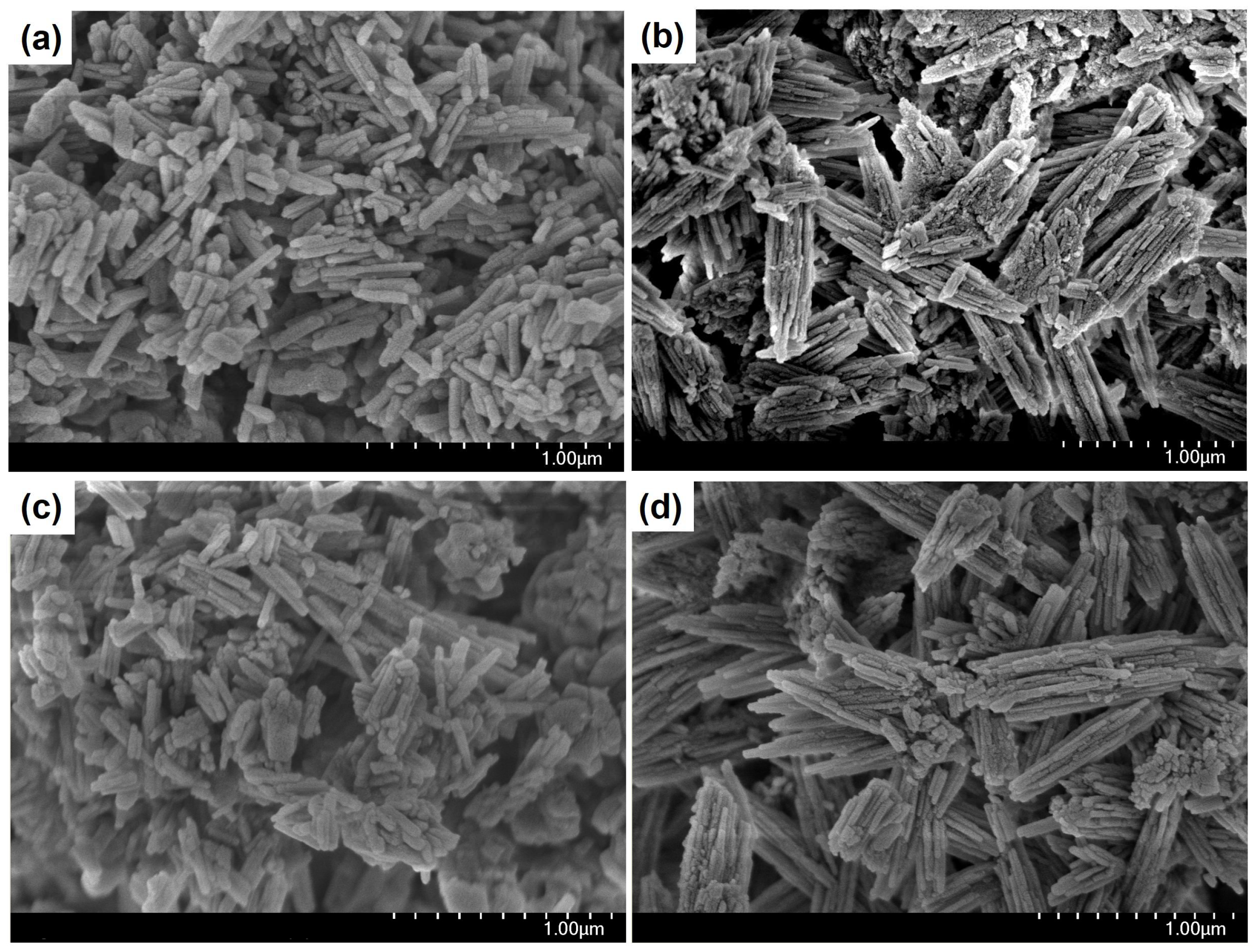 Nanomaterials 14 01897 g002