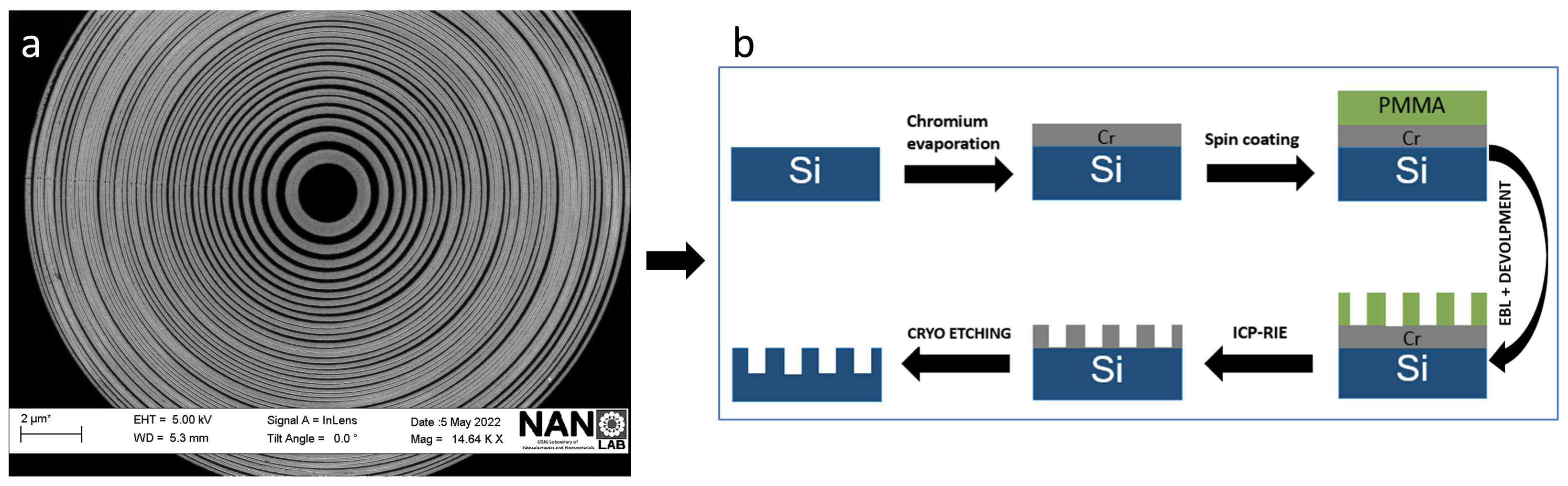Nanomaterials 14 01898 g001