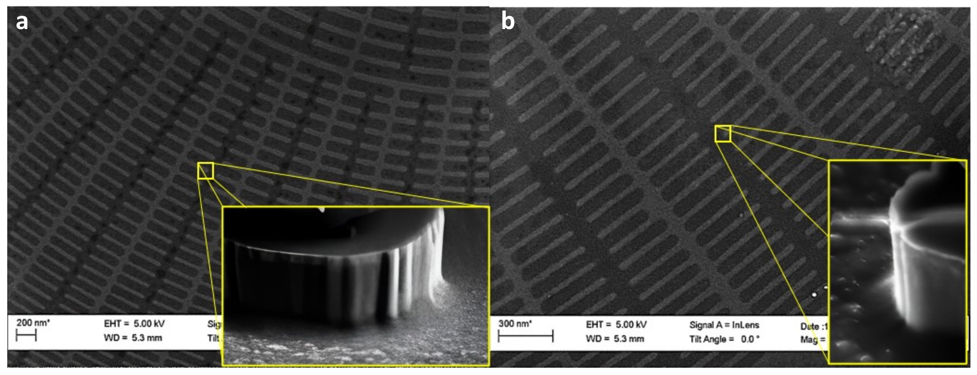 Nanomaterials 14 01898 g008