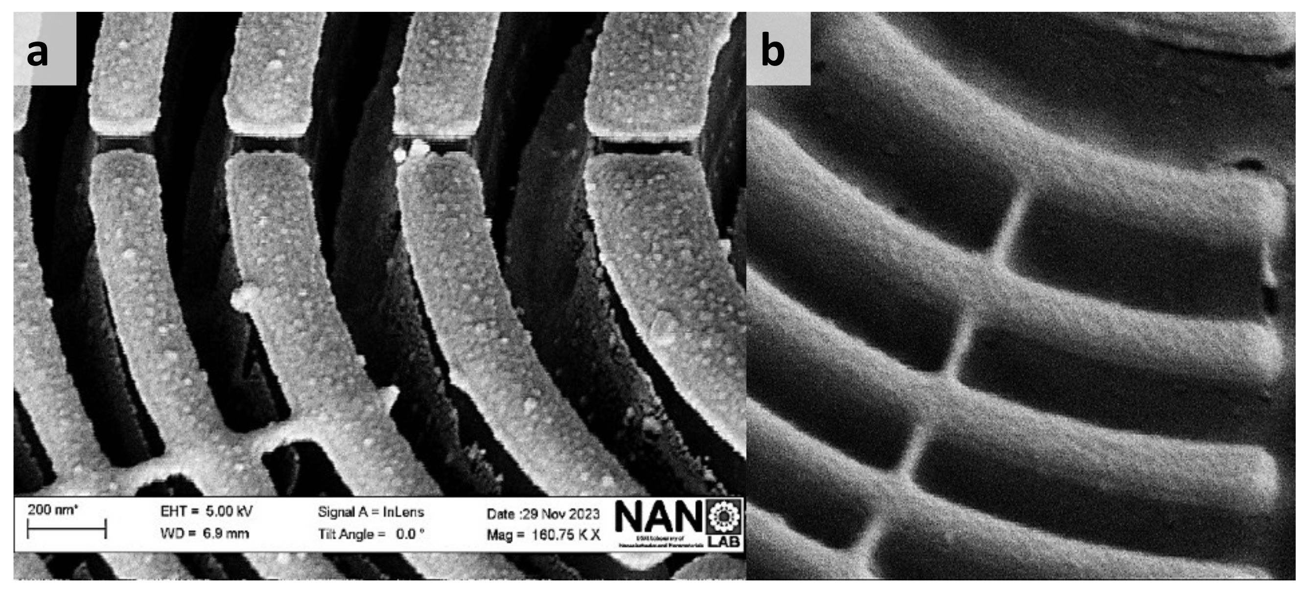 Nanomaterials 14 01898 g009