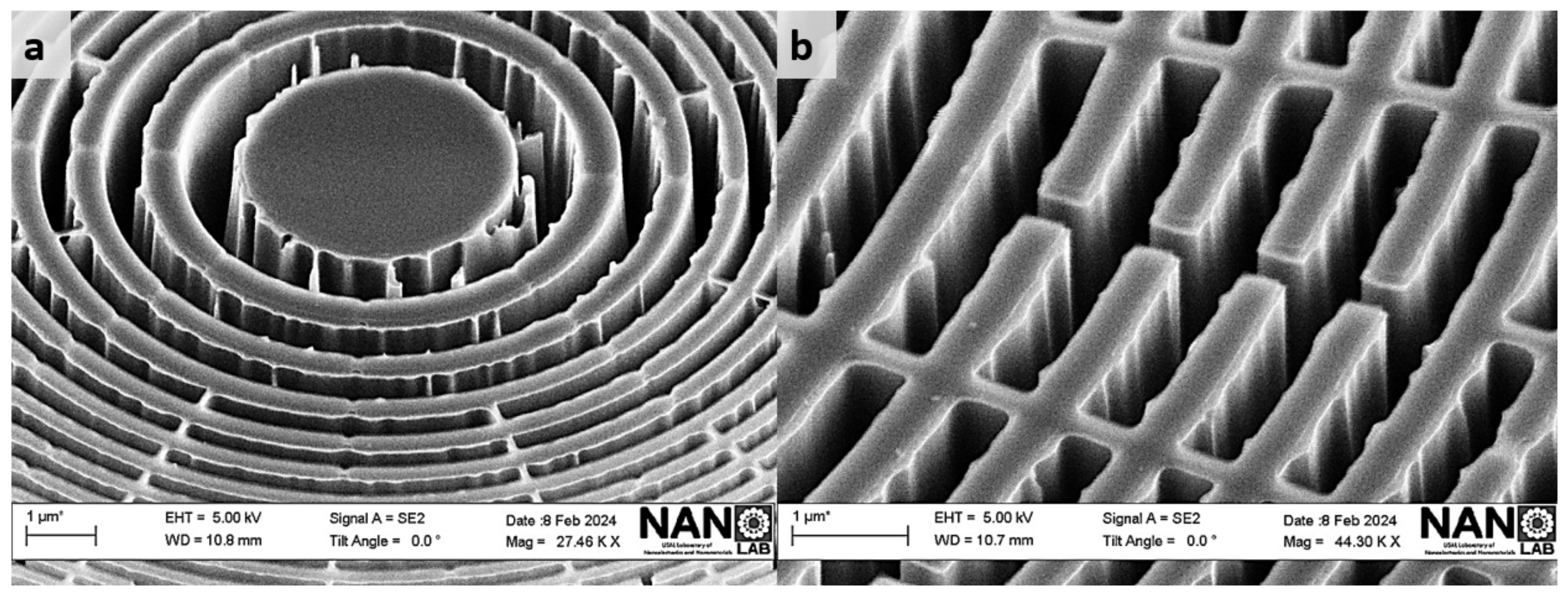Nanomaterials 14 01898 g0a2