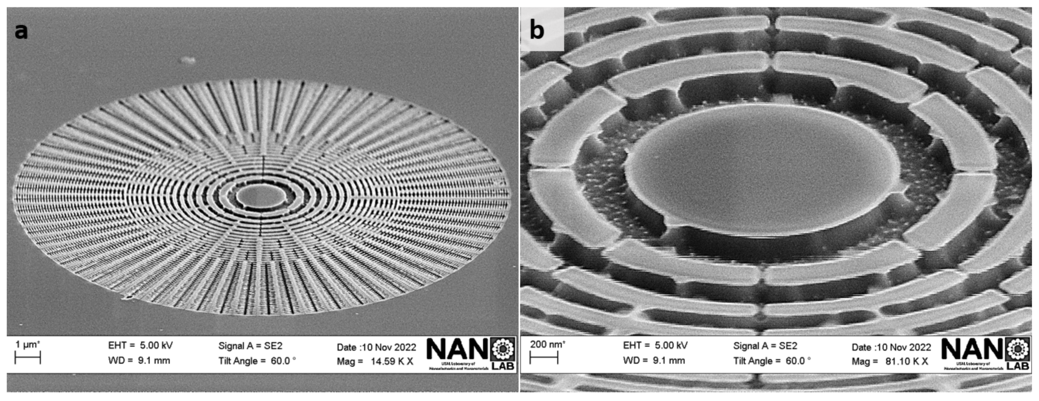 Nanomaterials 14 01898 g0a3