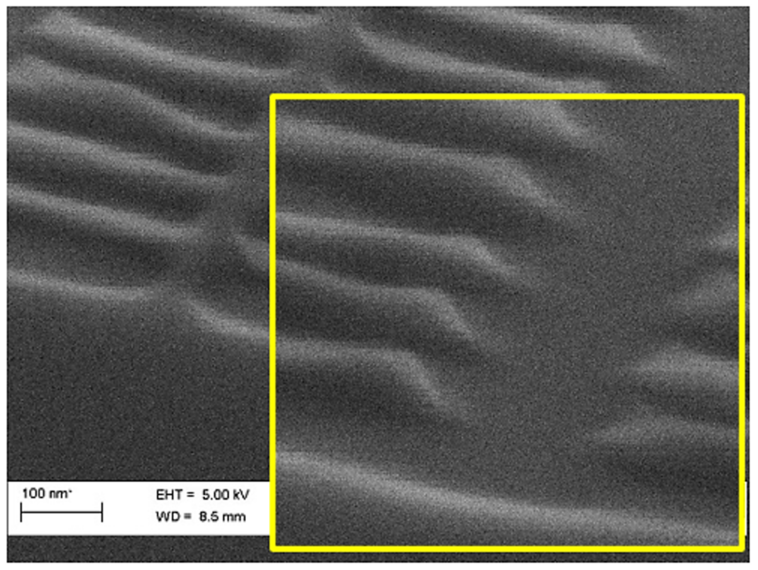 Nanomaterials 14 01898 g0a4