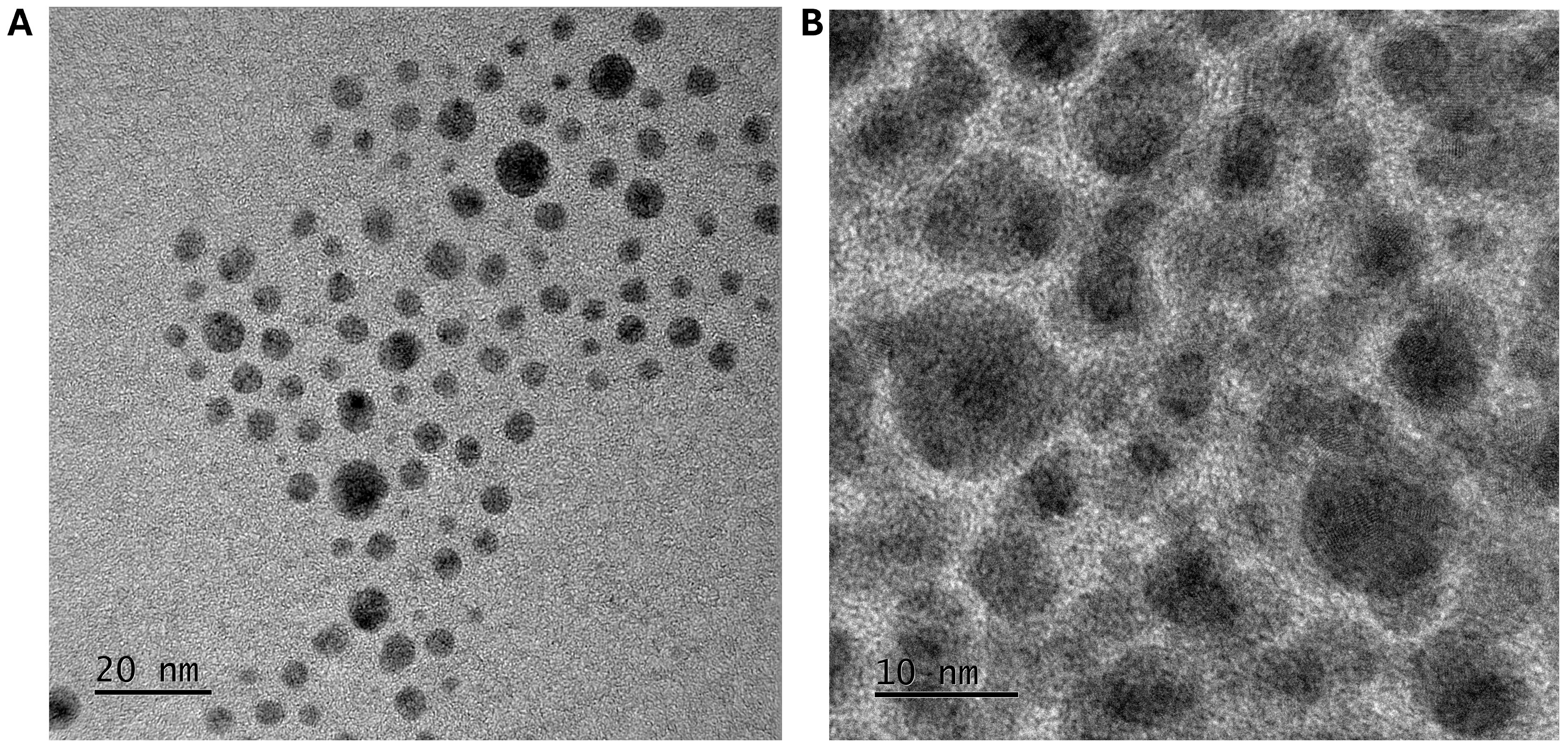 Nanomaterials 14 01899 g001