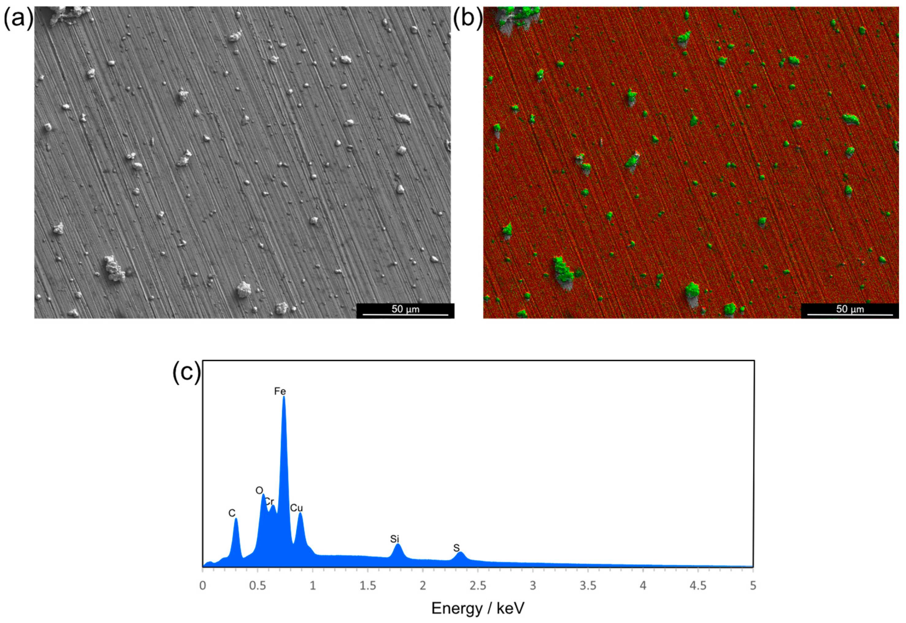 Nanomaterials 14 01899 g002