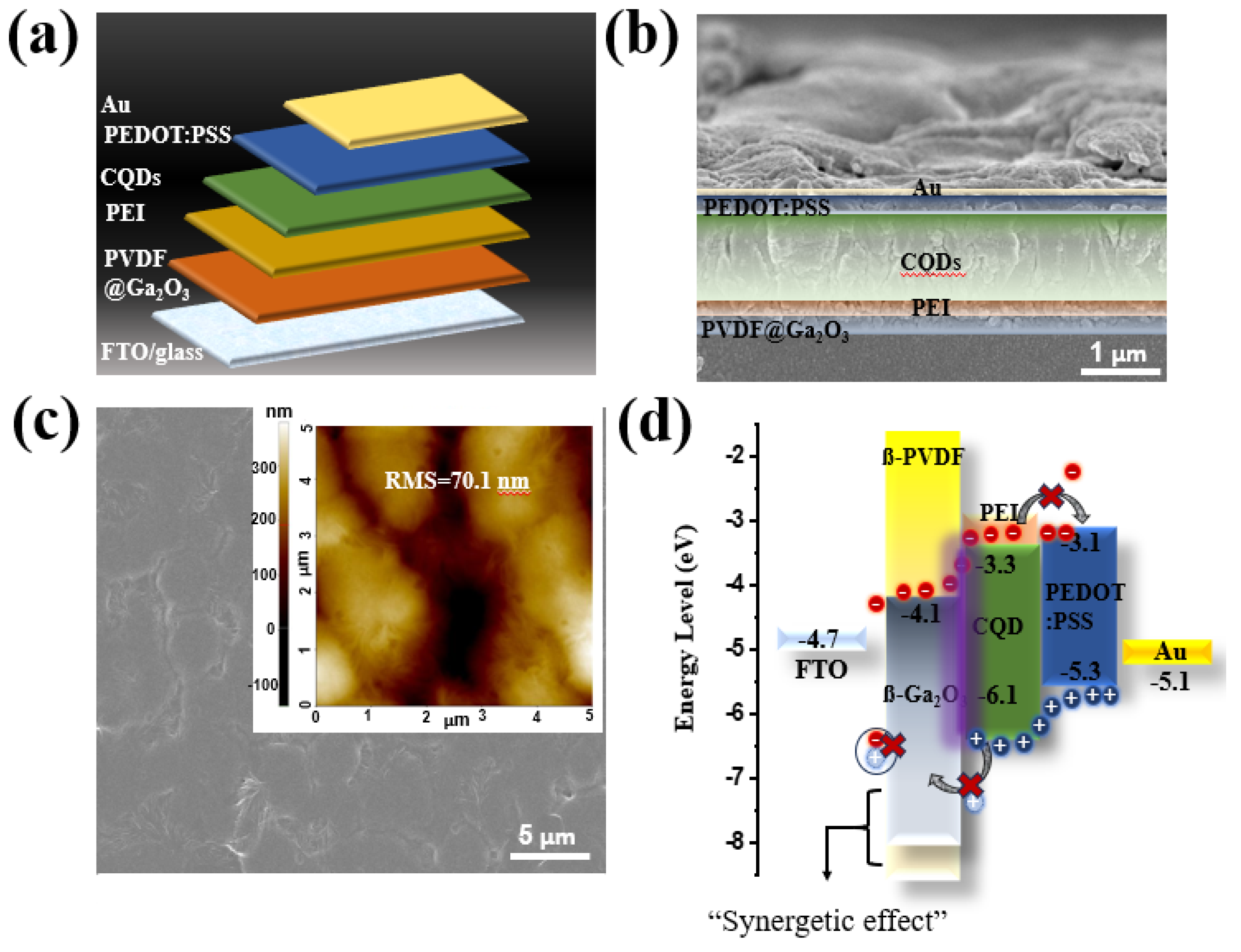 Nanomaterials 14 01903 g003