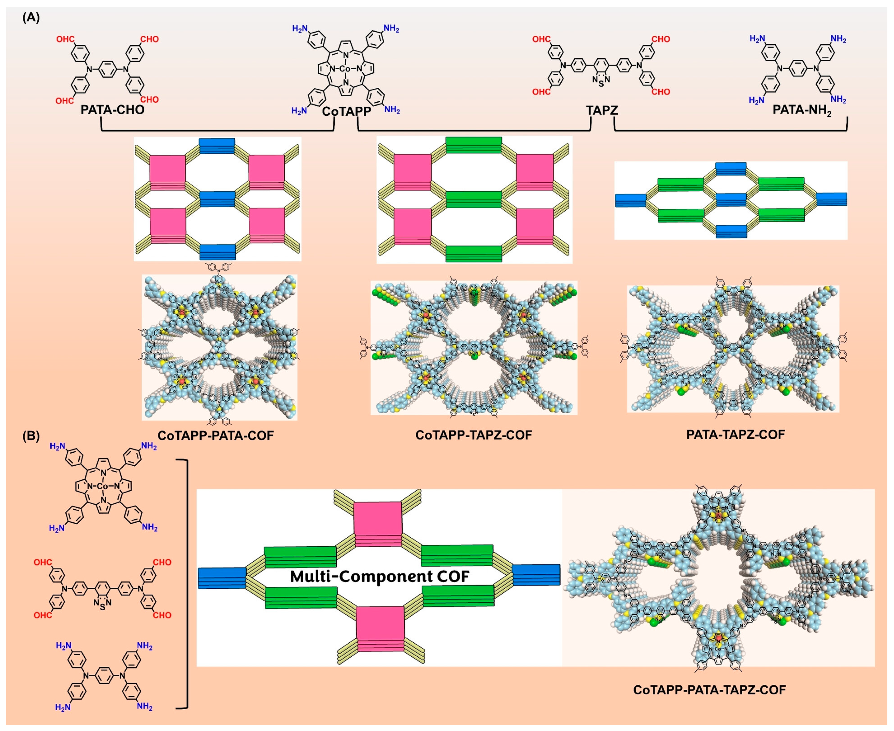 Nanomaterials 14 01907 g010