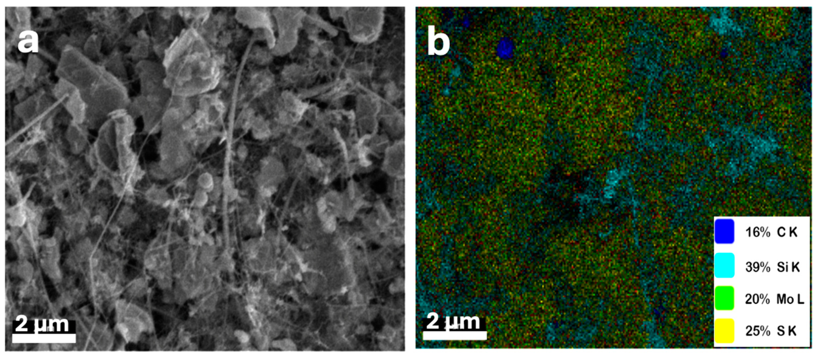 Nanomaterials 14 01911 g011