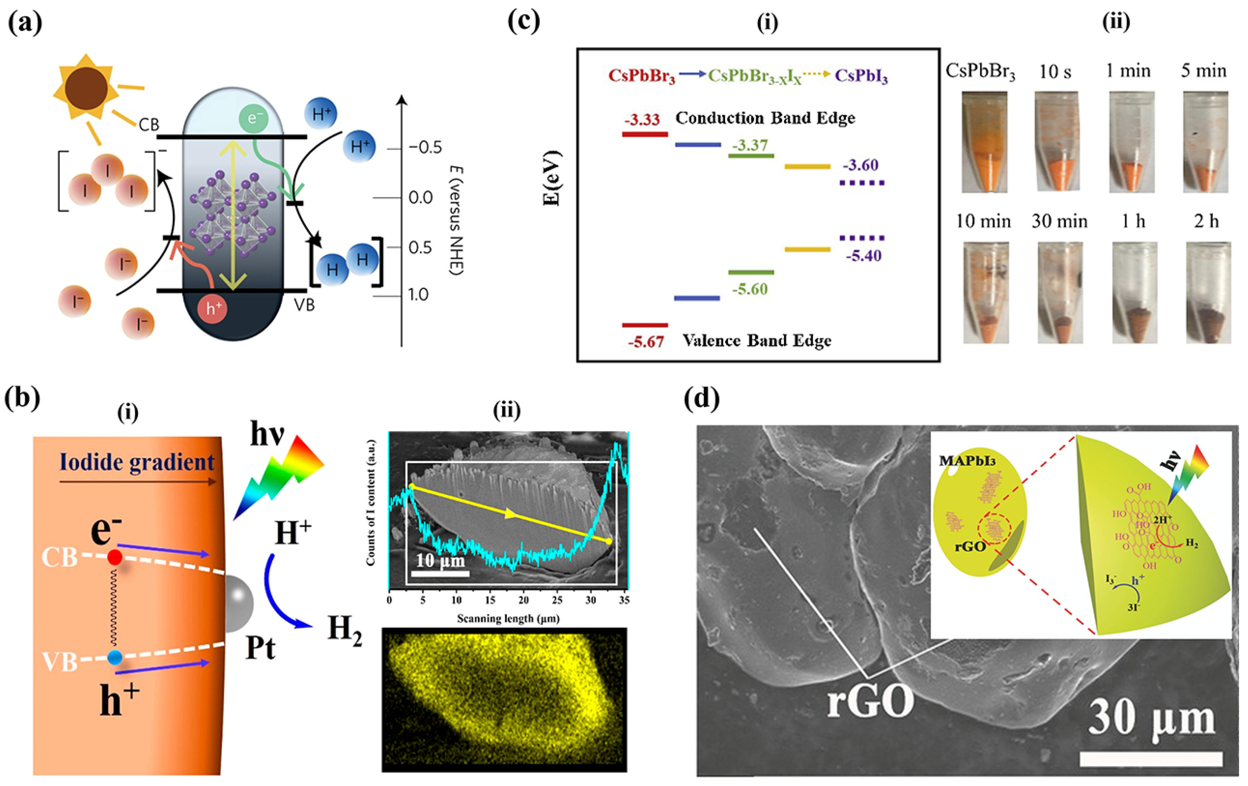 Nanomaterials 14 01914 g003
