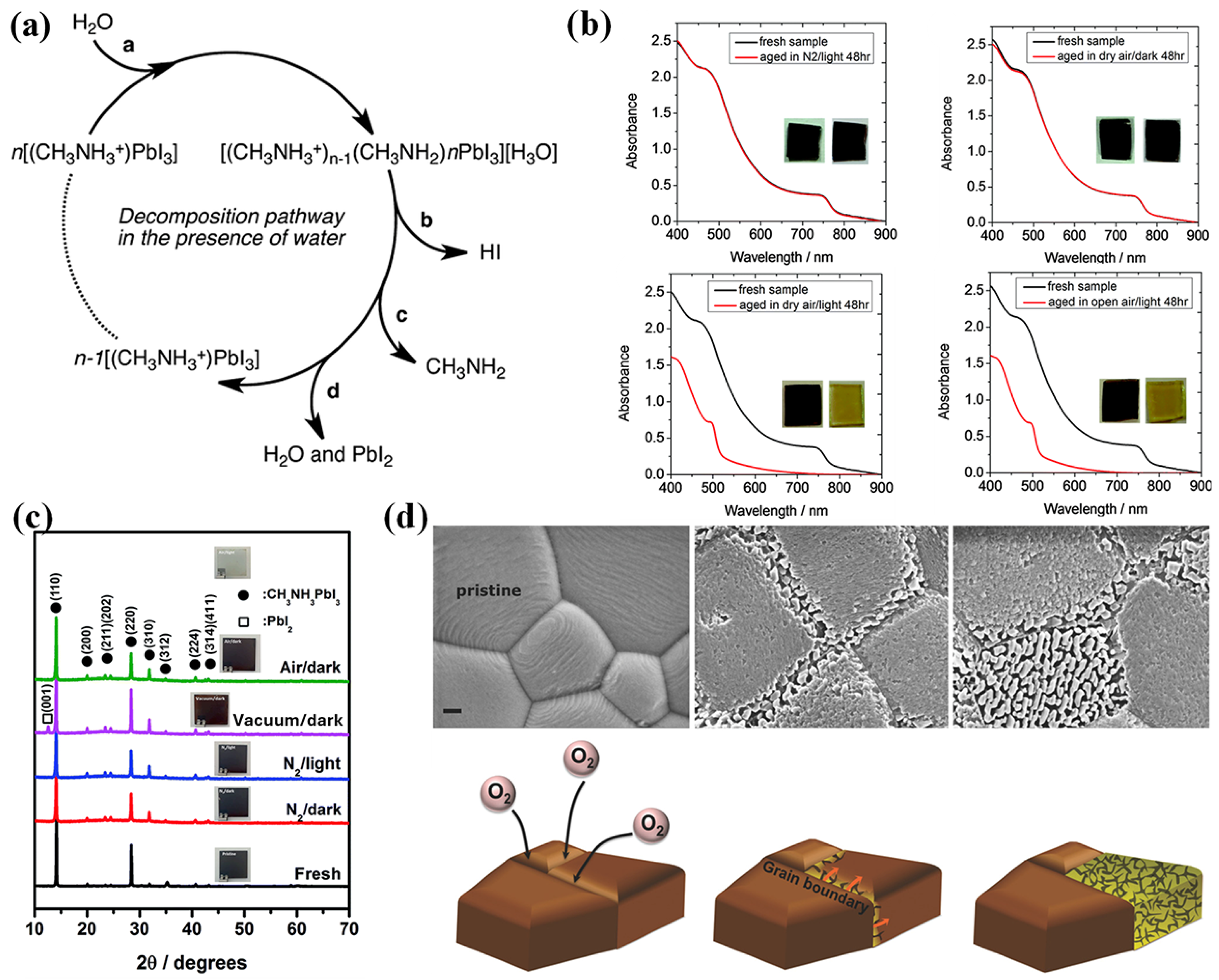 Nanomaterials 14 01914 g005