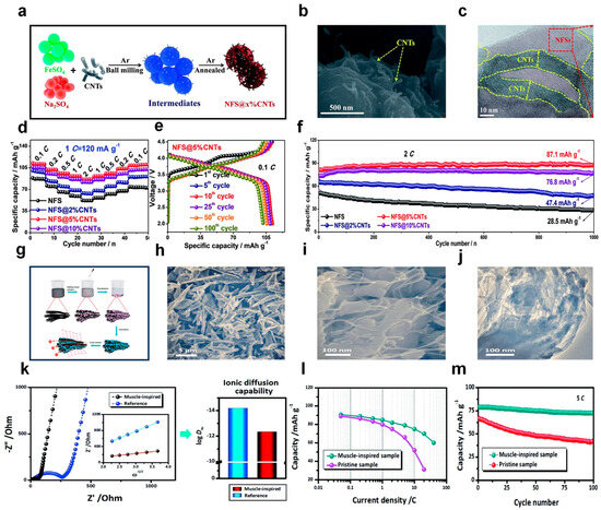 The Role of Autophagy for the Regeneration of the Aging Liver