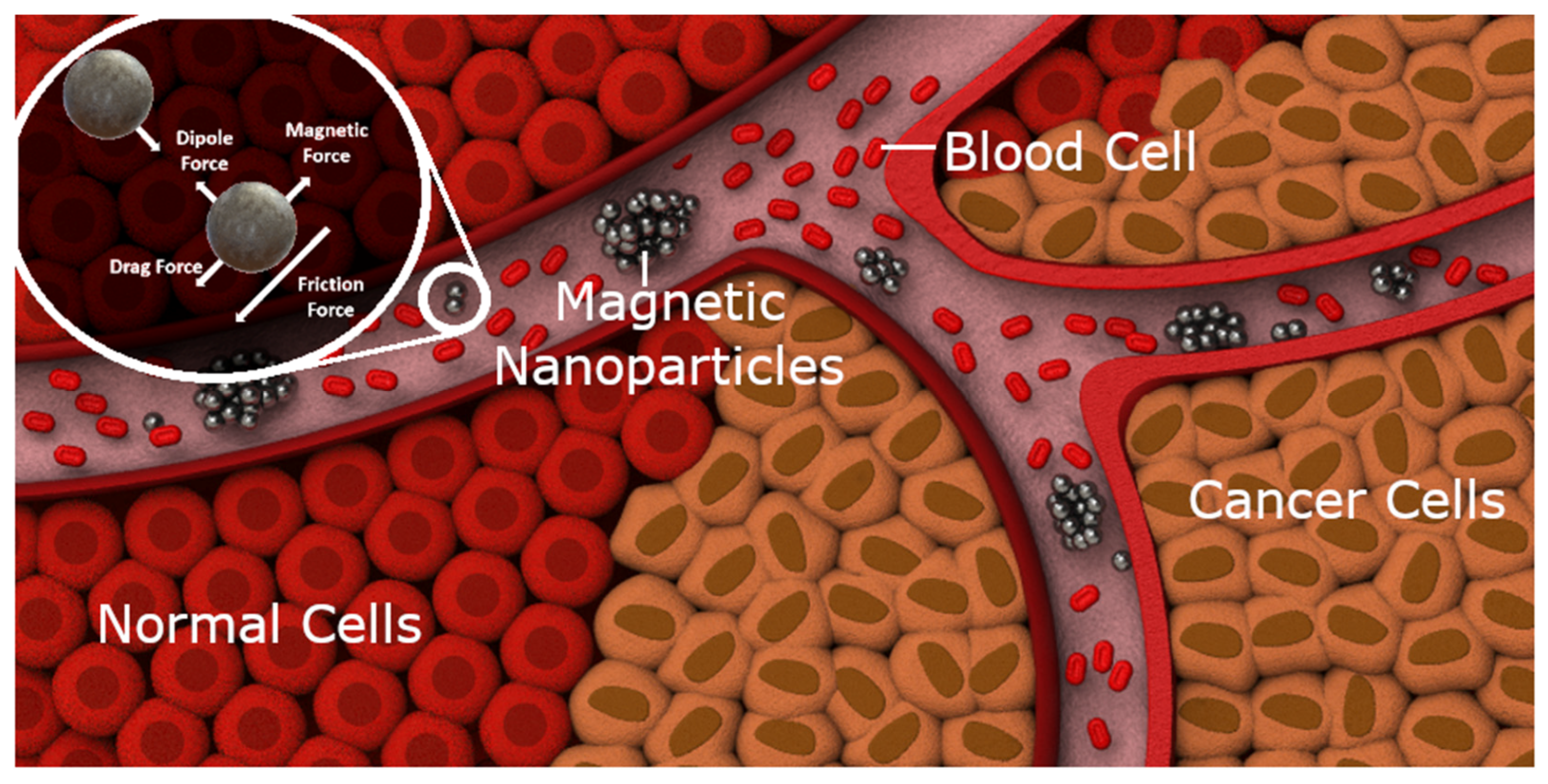 Nanomaterials 14 01917 g001